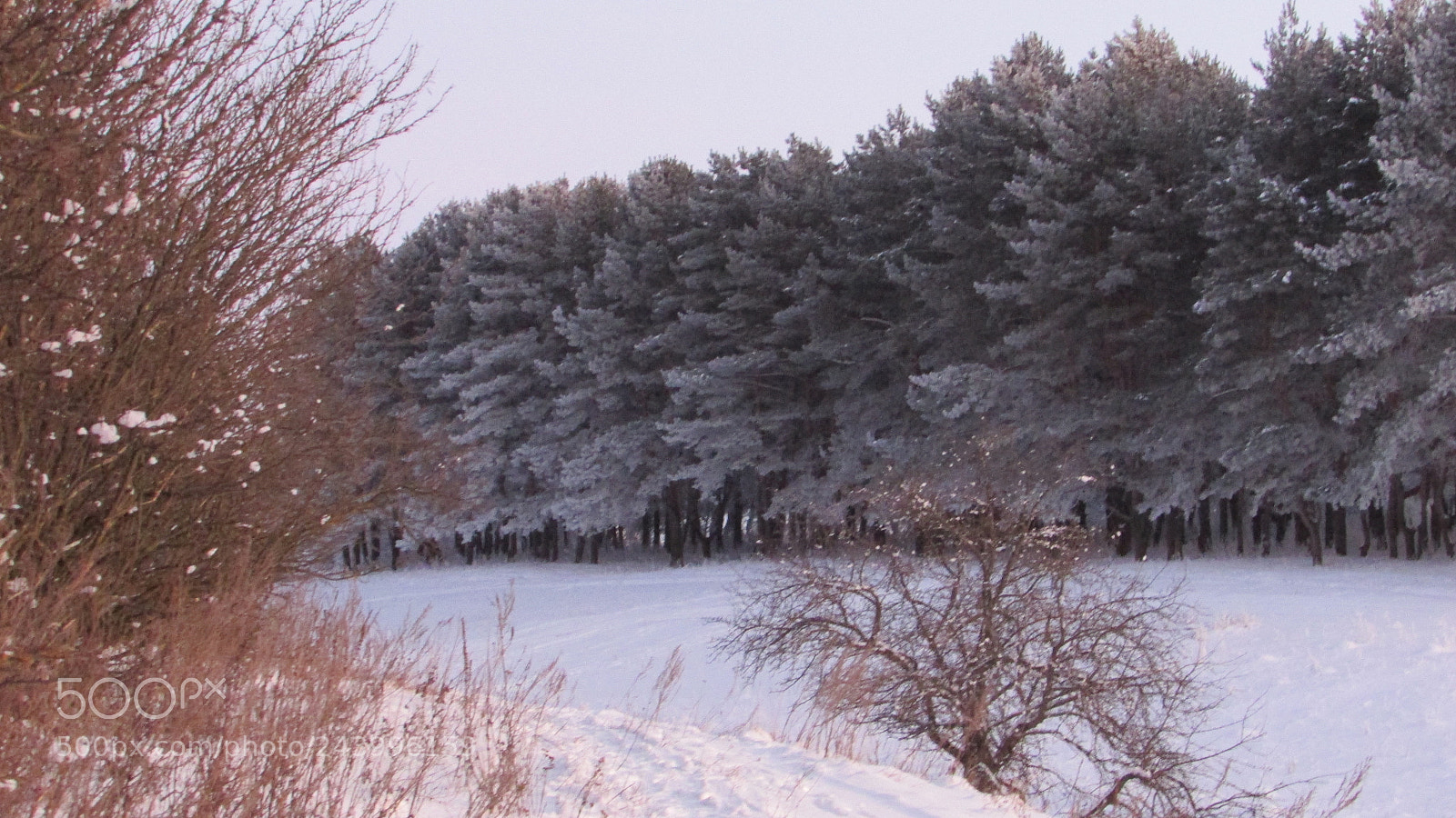 Canon PowerShot SX400 IS sample photo. [] photography