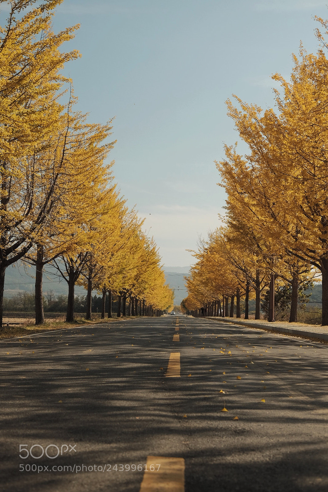 Fujifilm X-E2S sample photo. Untitled photography