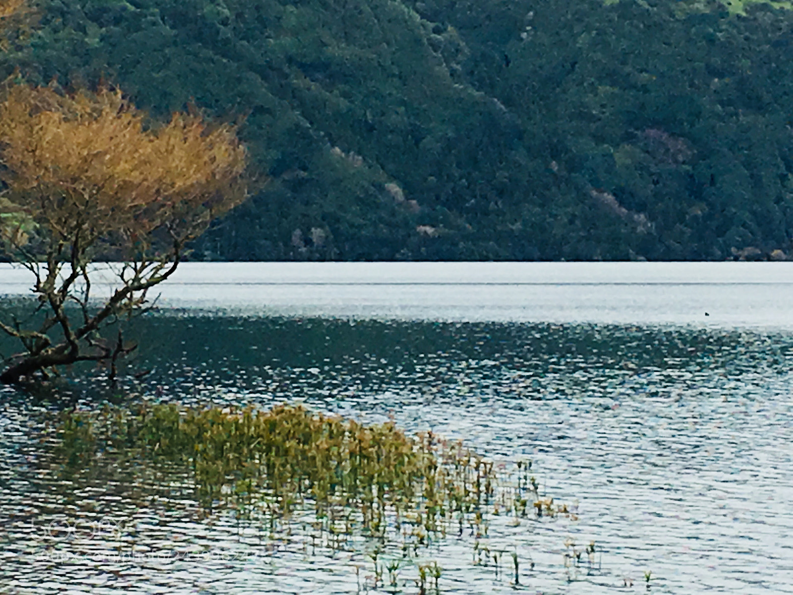 Apple iPhone 6s Plus sample photo. Untitled photography