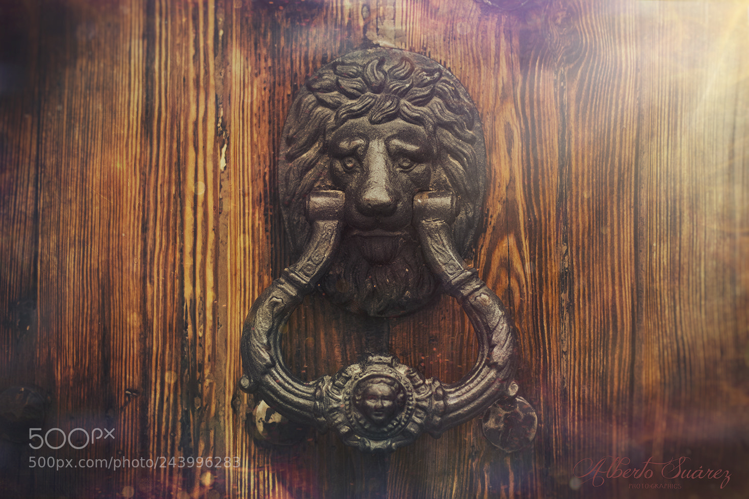 Canon EOS 60D sample photo. Knocking on lion door [2] photography