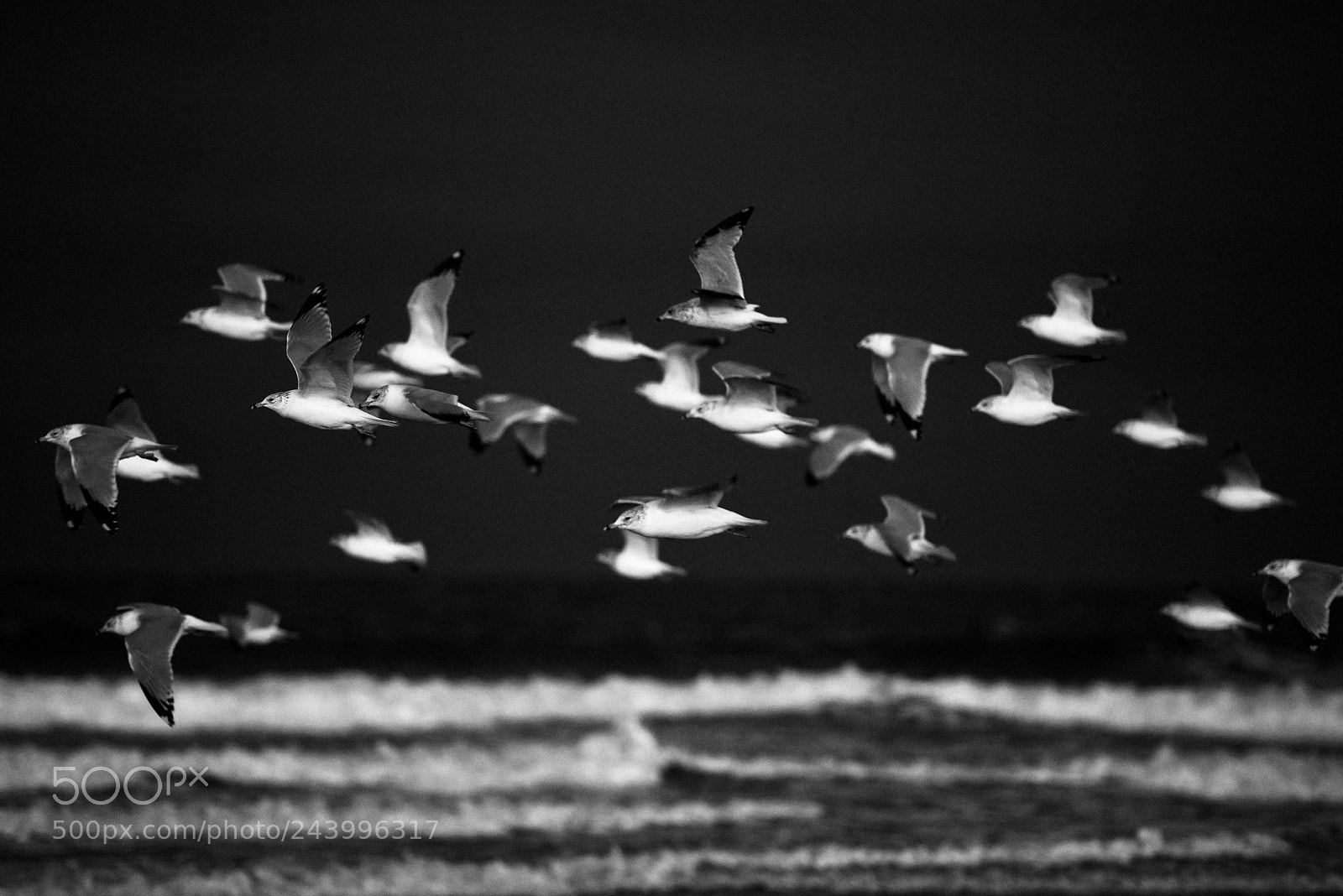 Nikon D810 sample photo. Untitled photography