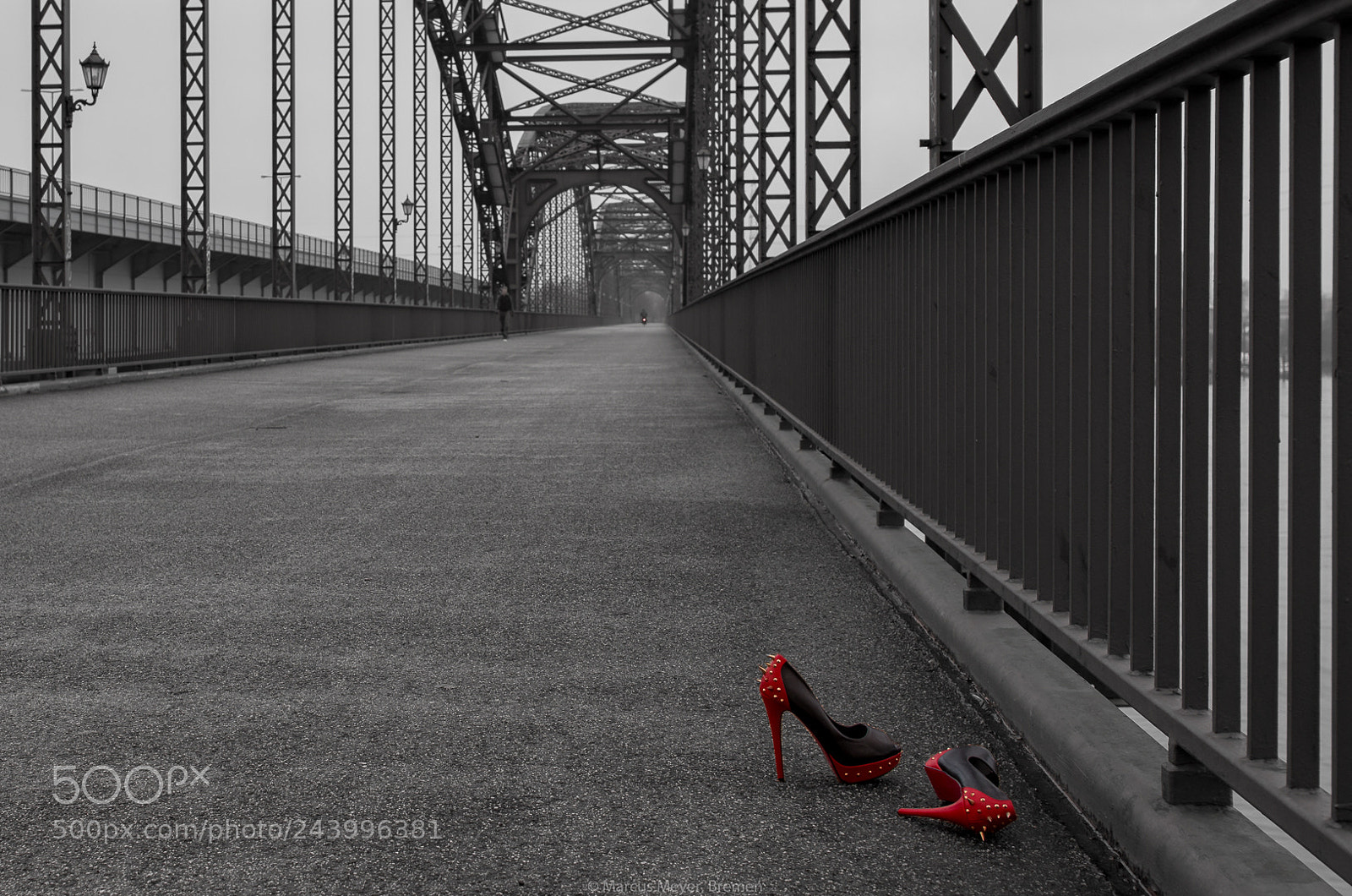 Nikon D850 sample photo. Lost in .... photography