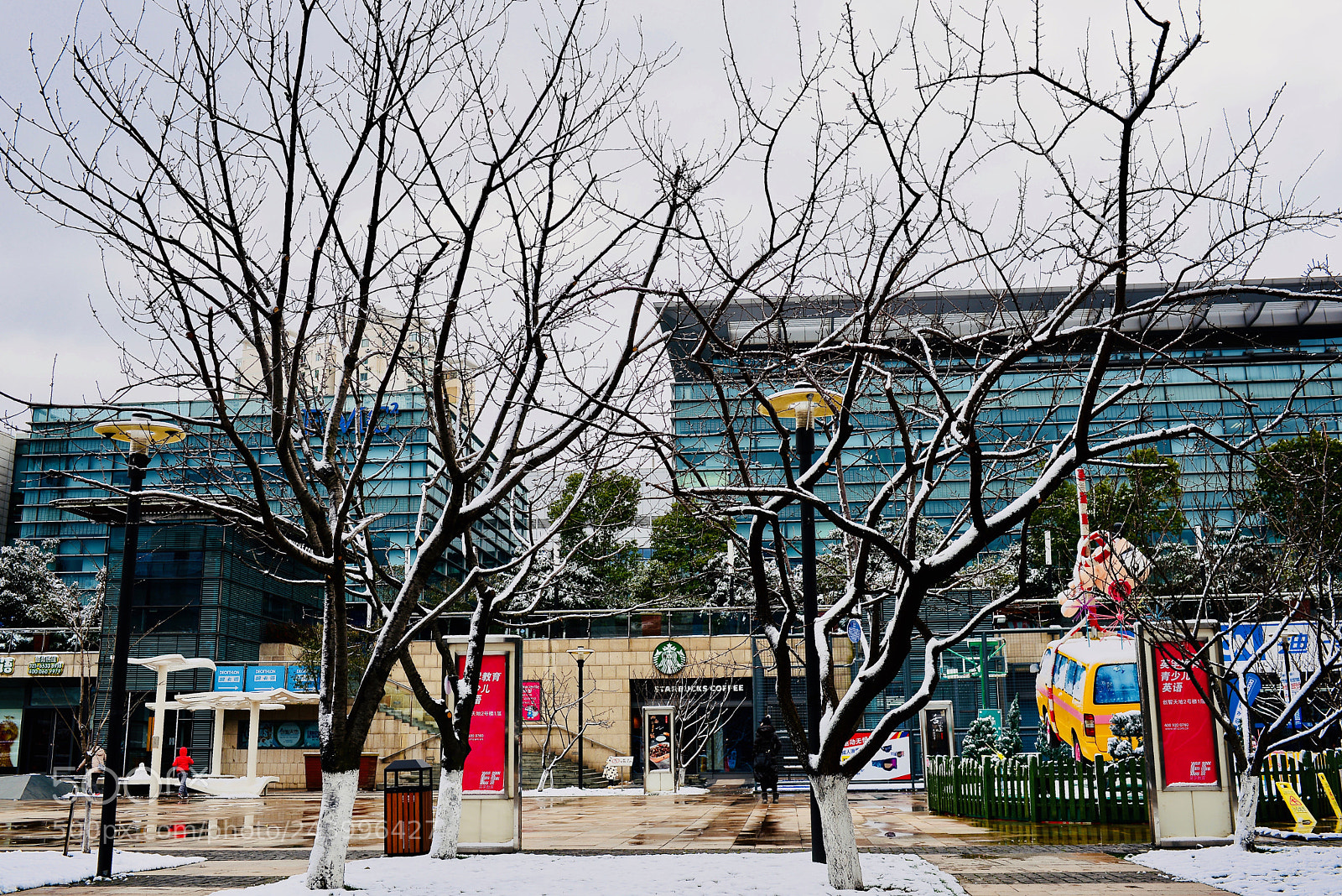Nikon D610 sample photo. 化雪 photography