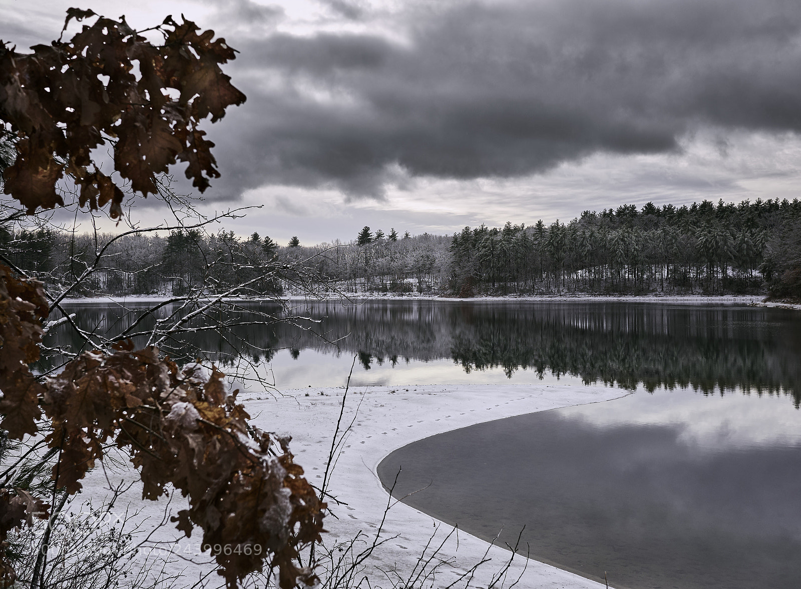 Panasonic Lumix DMC-GX85 (Lumix DMC-GX80 / Lumix DMC-GX7 Mark II) sample photo. Winter view of walden photography