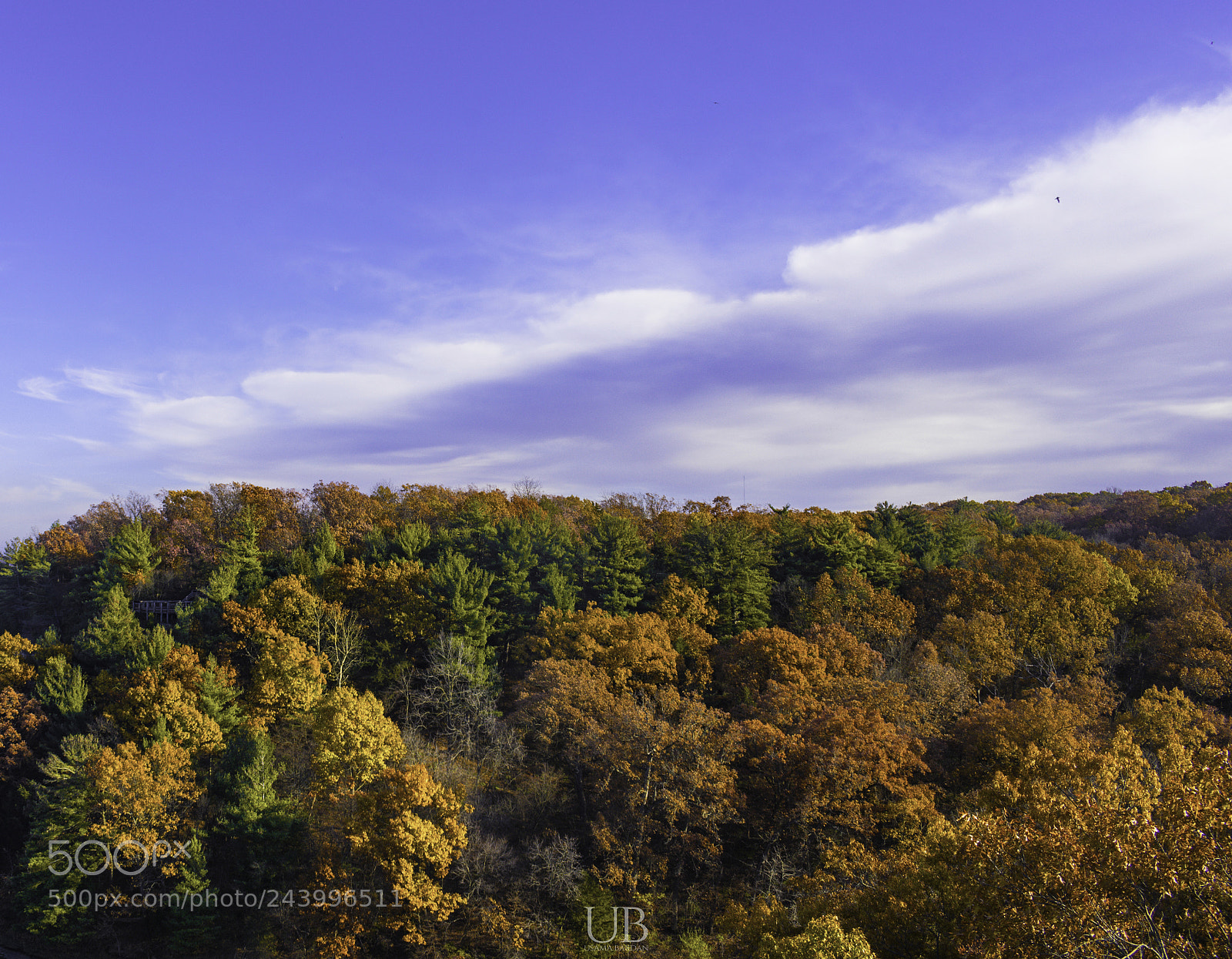 Nikon D3400 sample photo. Fall foliage photography