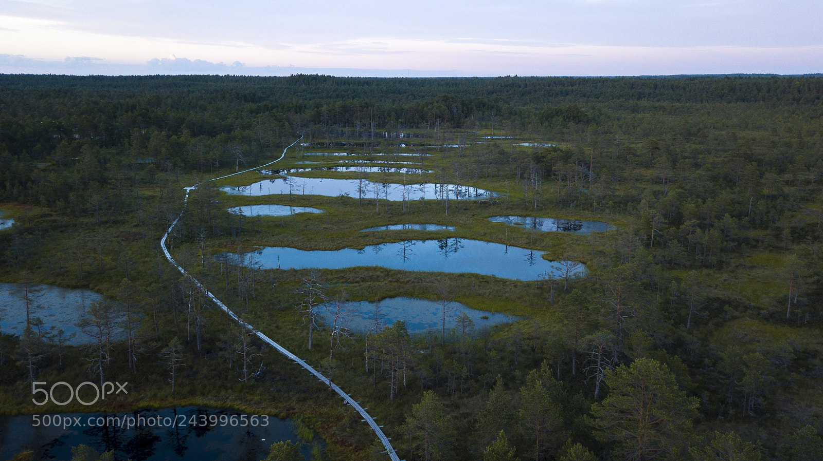 DJI FC220 sample photo. Viru raba photography
