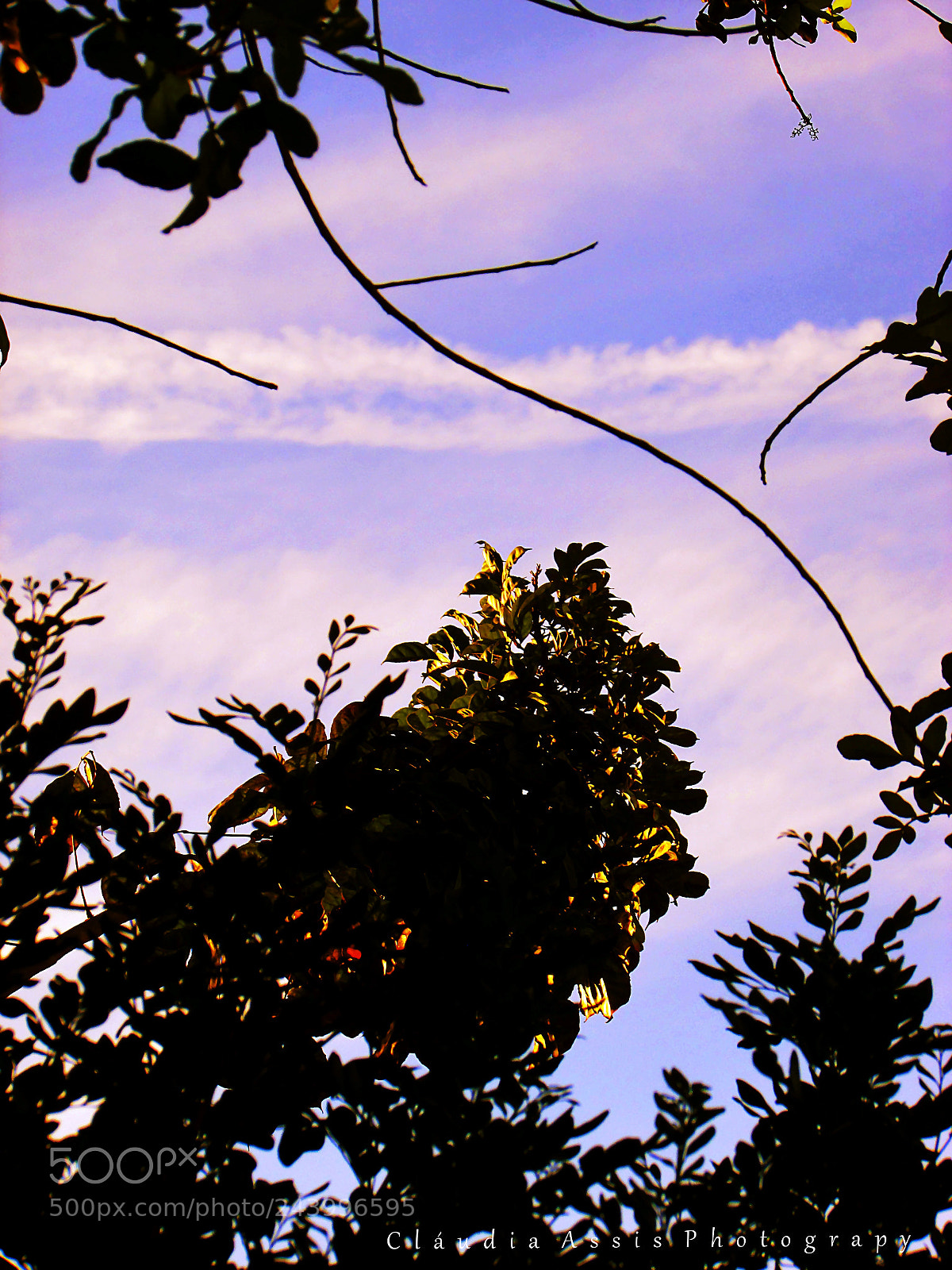 Canon PowerShot SX400 IS sample photo. Universo natural photography