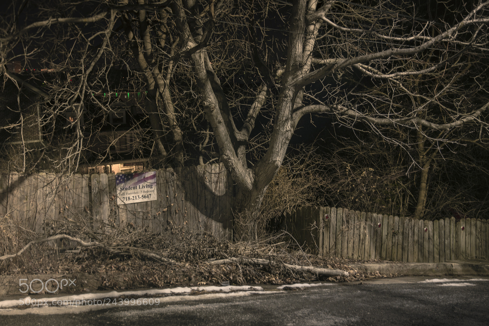 Nikon D7100 sample photo. Student living photography