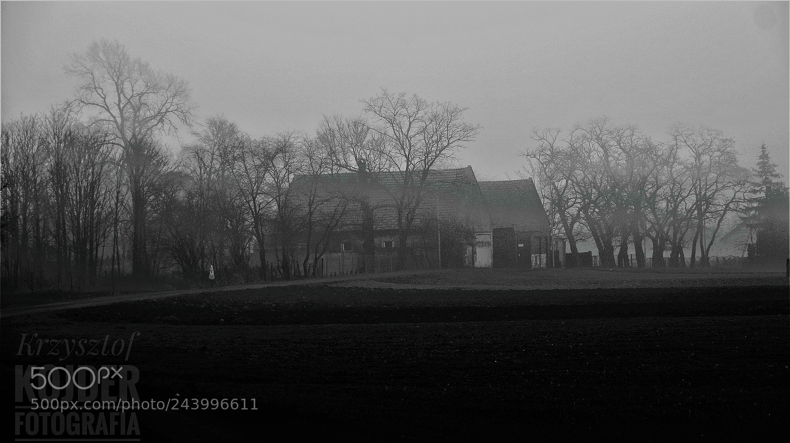 Sony SLT-A58 sample photo. Foggy morning photography