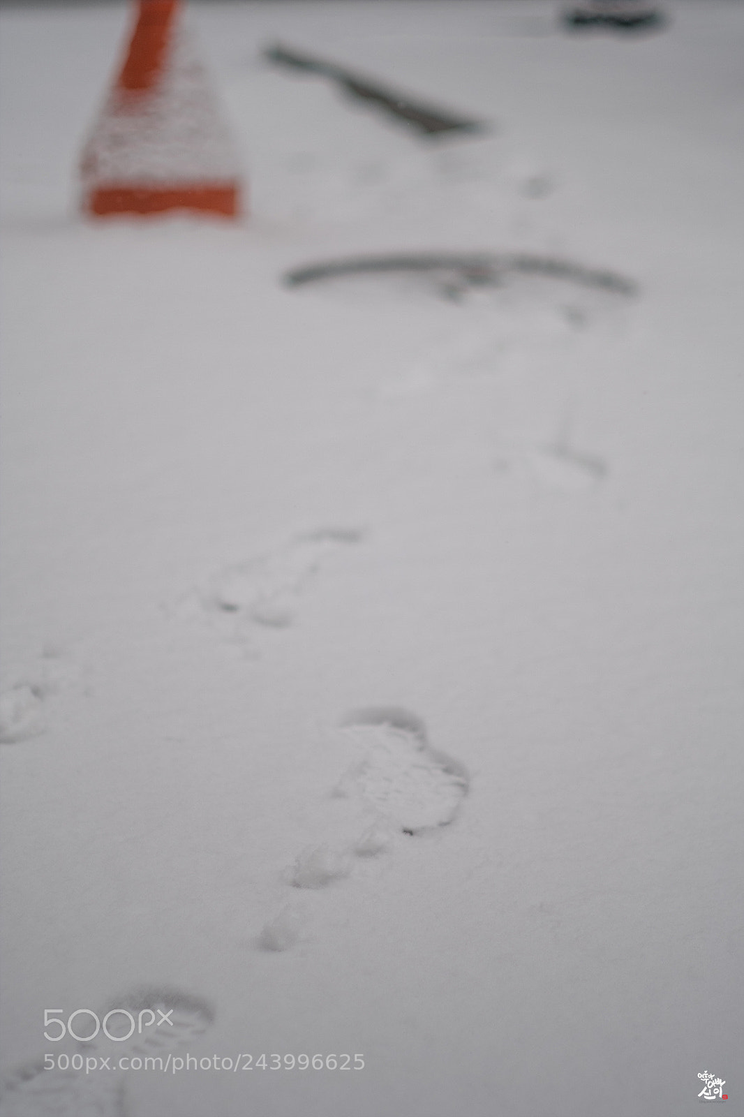 Fujifilm X-T2 sample photo. Footprint on snow photography
