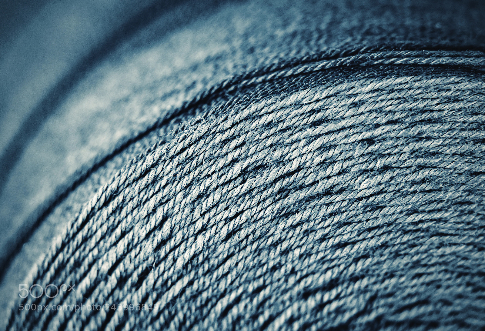 Nikon D5500 sample photo. Detail the tangled thread photography