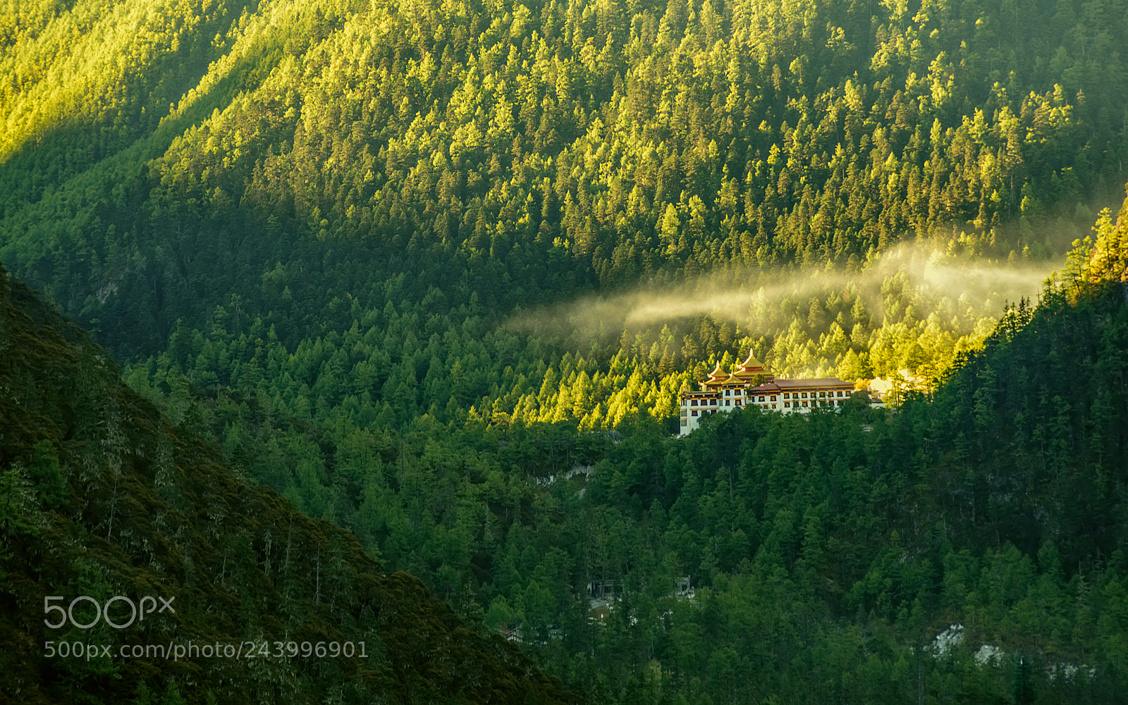Nikon D810 sample photo. Village in the valley photography
