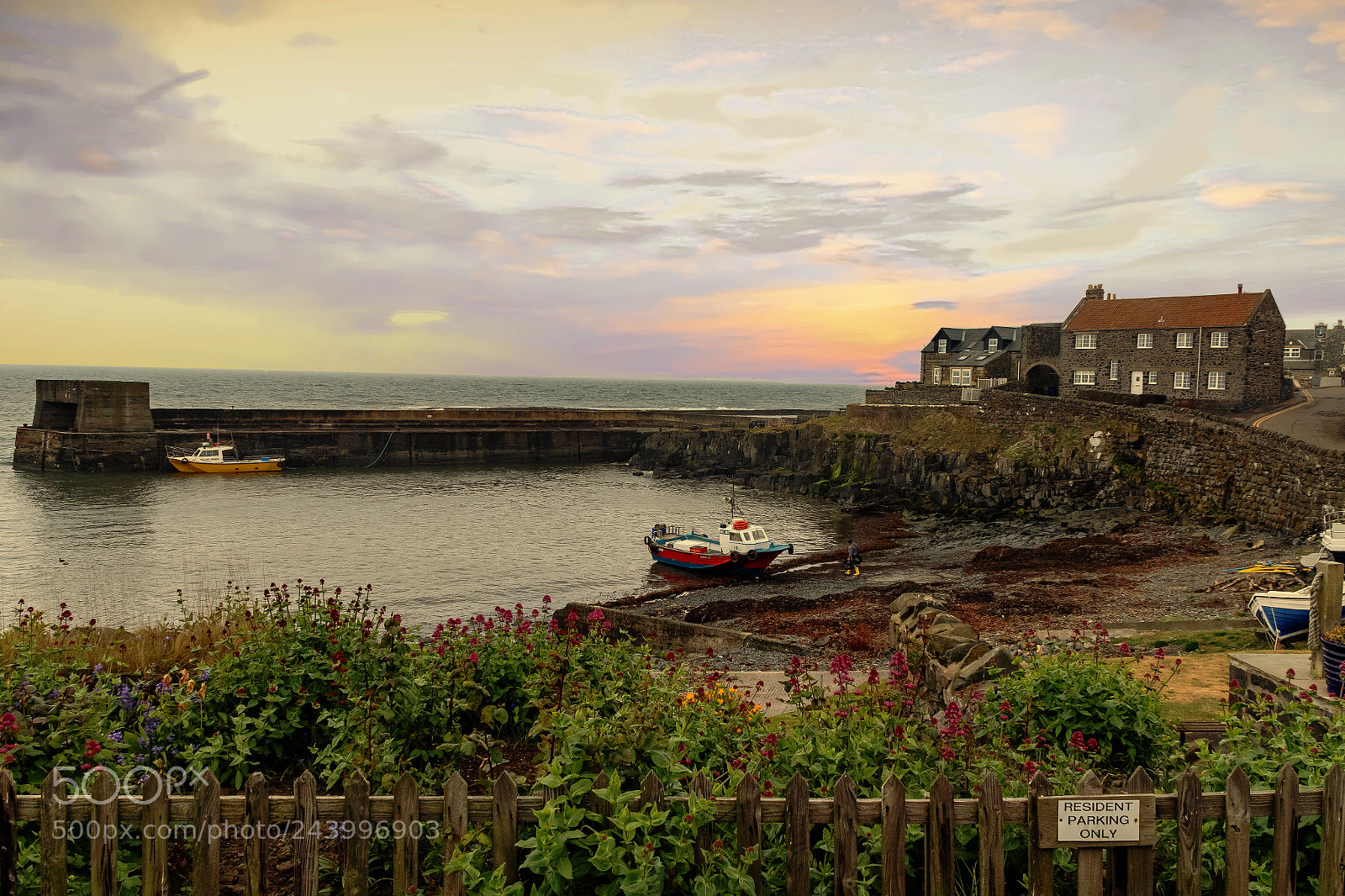 Canon EOS 7D Mark II sample photo. Craster photography