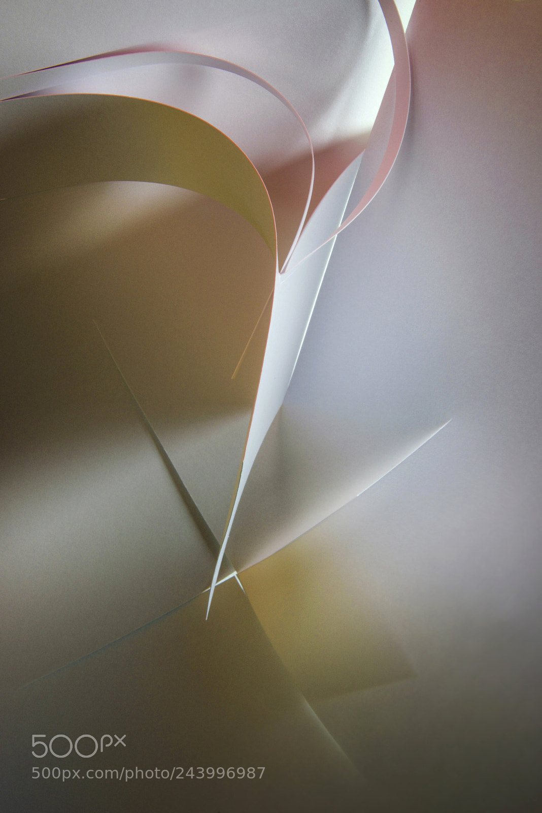 Nikon D810 sample photo. Cross cut photography