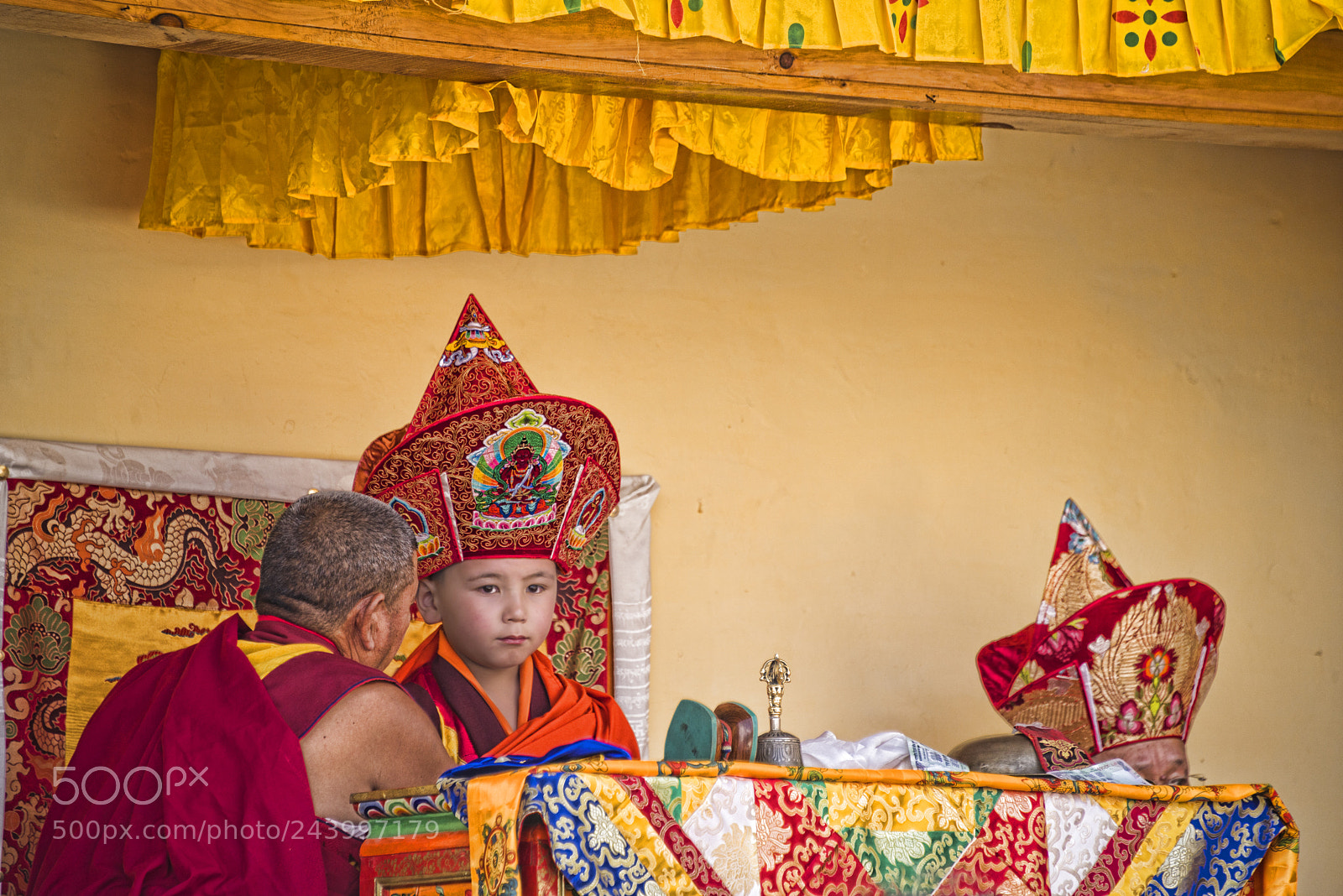 Nikon D810 sample photo. The golden child and photography