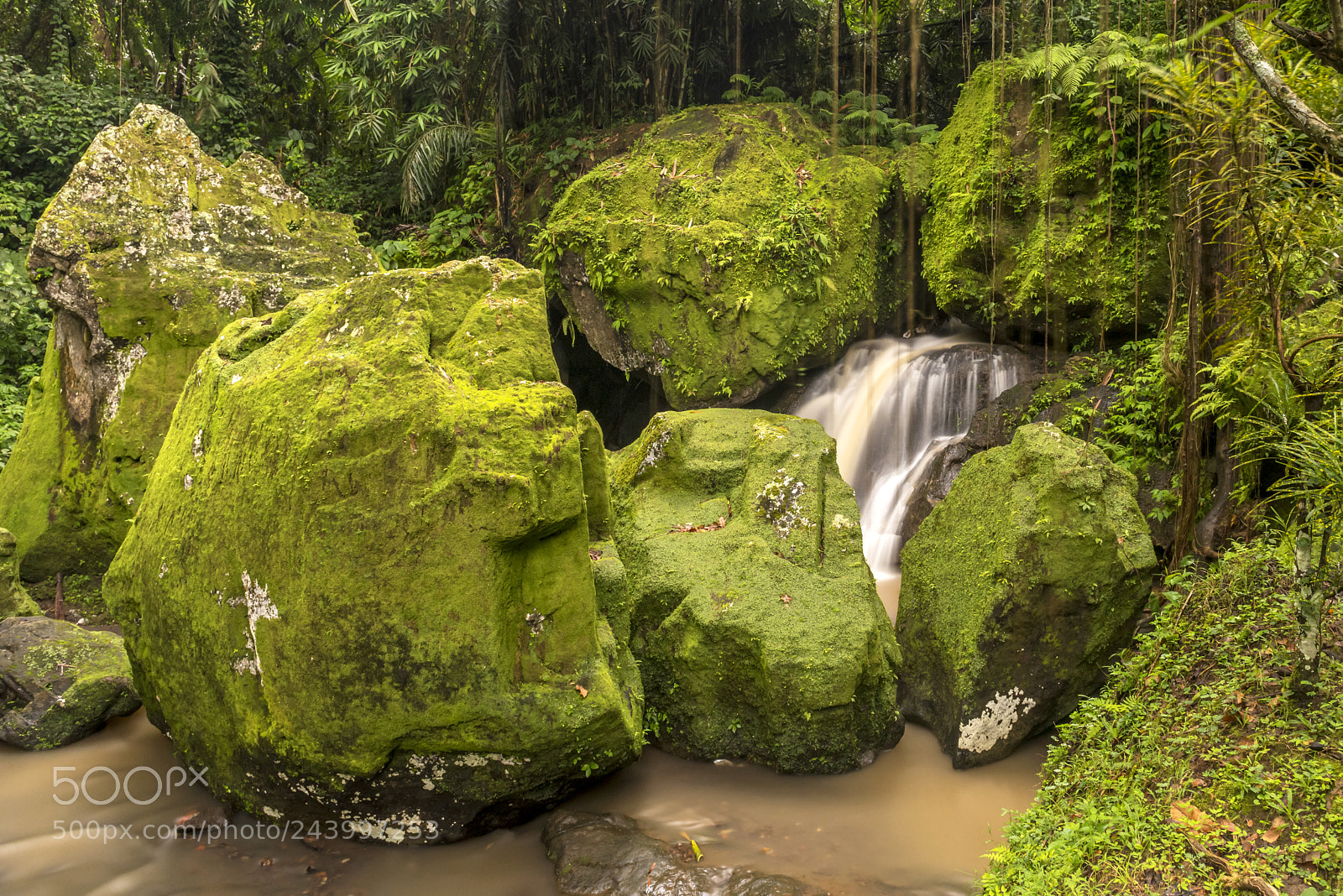 Nikon D810 sample photo. Waterfall in green. photography