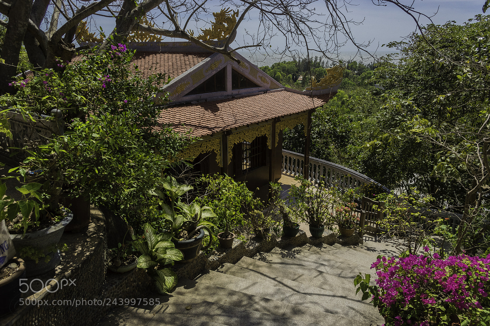 Nikon D3200 sample photo. Temple stairs photography