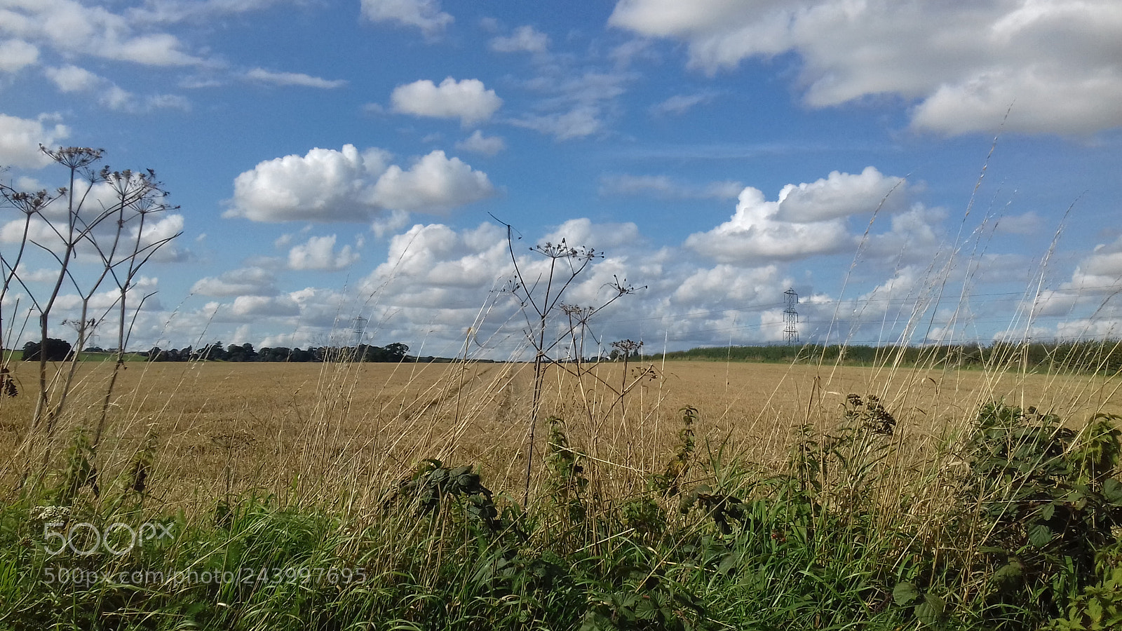 Samsung Galaxy J3(2016) sample photo. English countryside photography