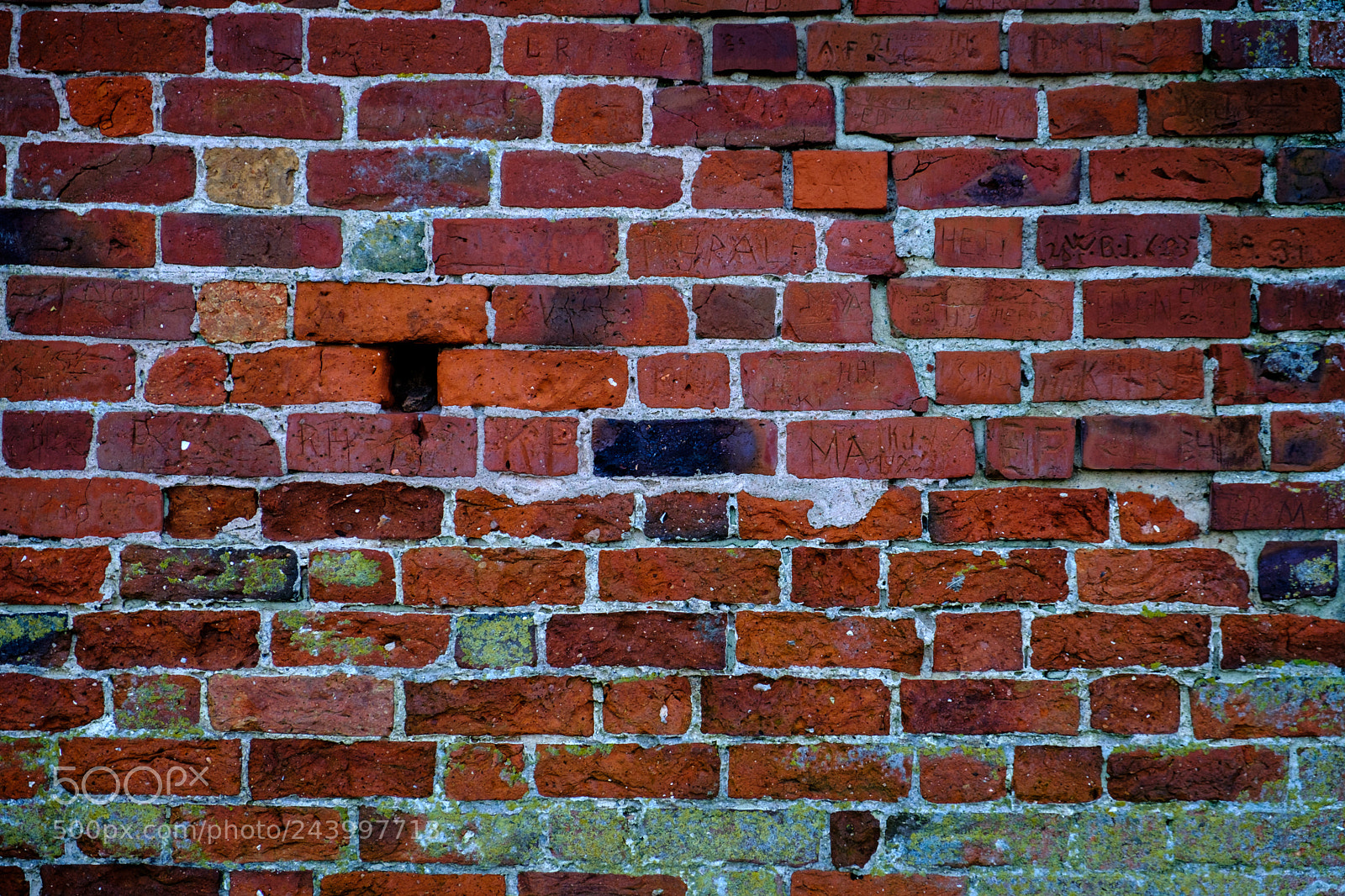 Fujifilm X-T2 sample photo. The wall photography