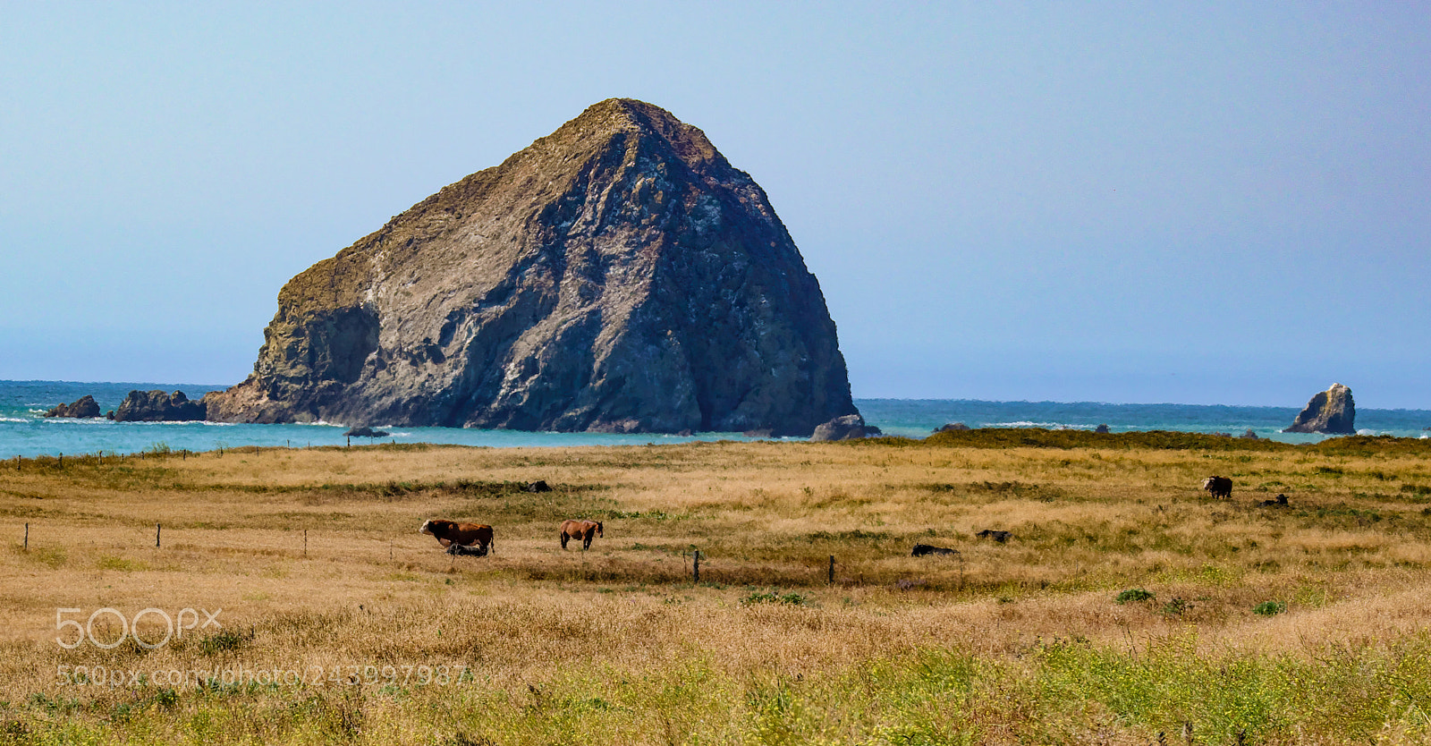Fujifilm X-T2 sample photo. North coast pasture photography
