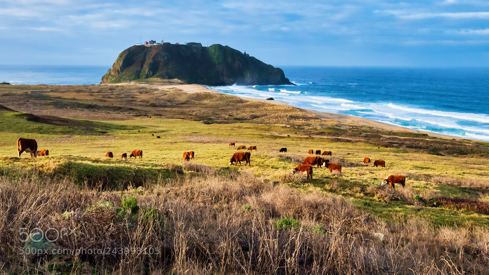 Nikon D850 sample photo. Big sur morning photography