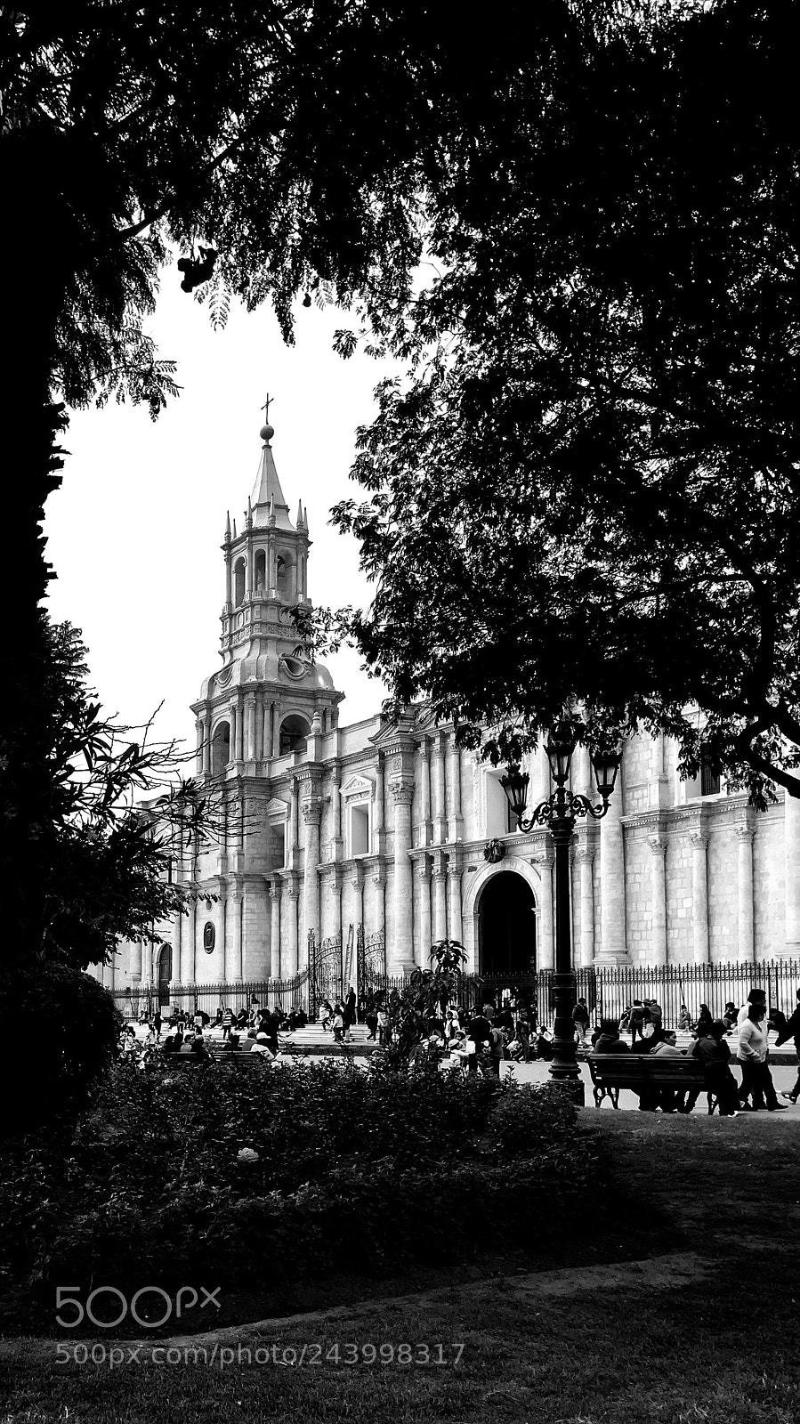 Apple iPhone 7 sample photo. Catedral bas lica de photography