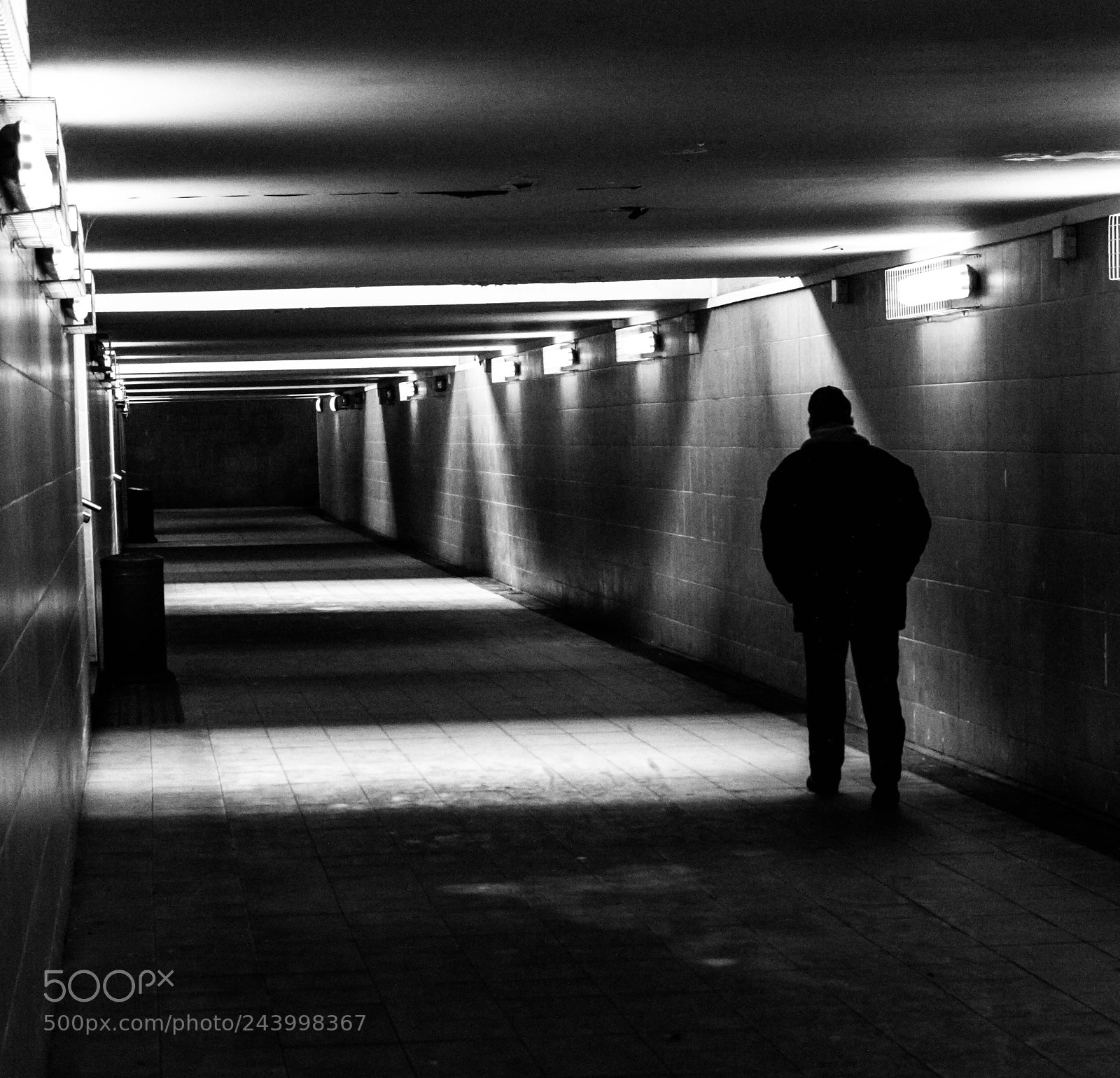 Nikon D3200 sample photo. Walk photography