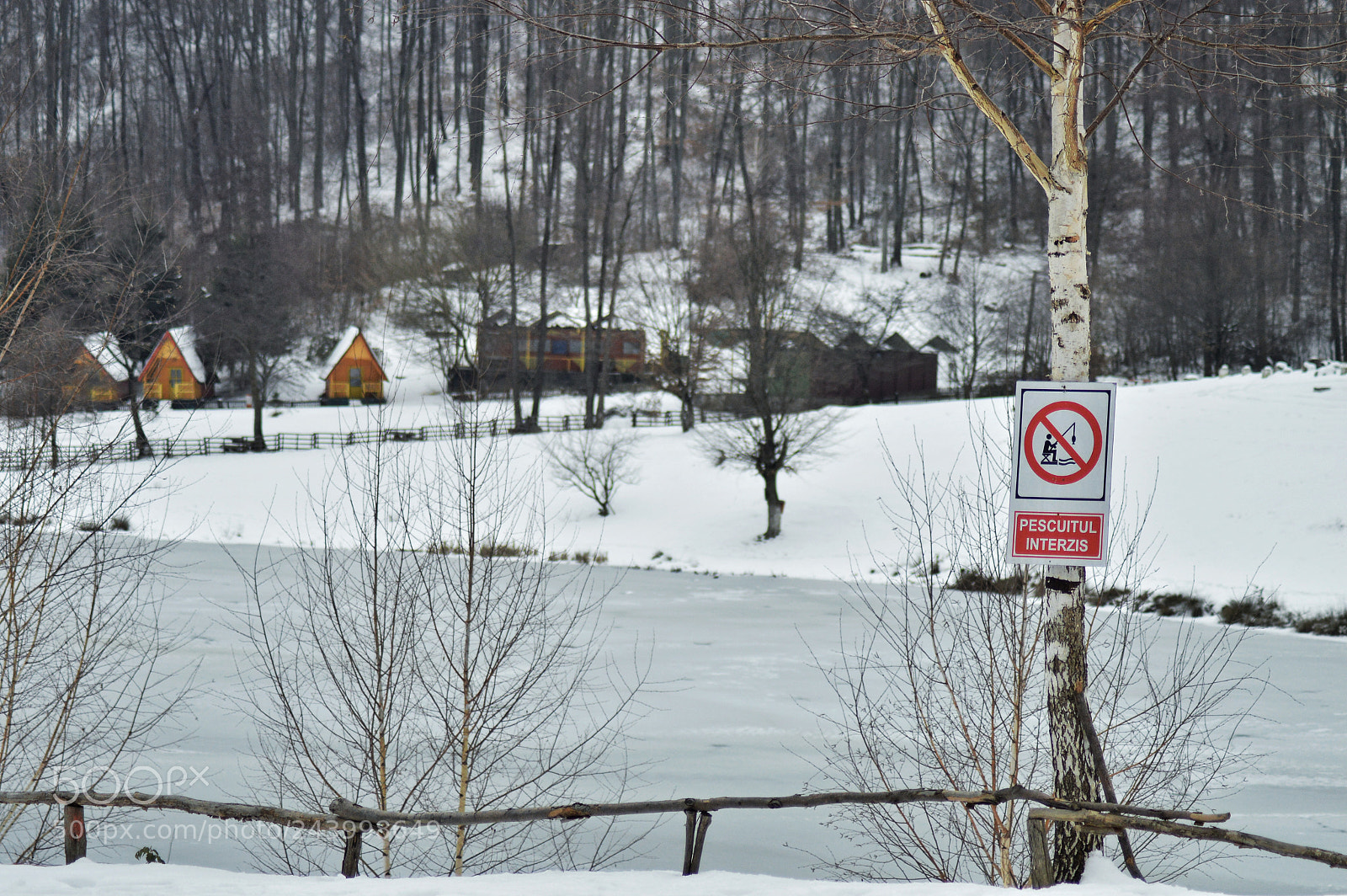 Nikon D3200 sample photo. Stop fishing. photography