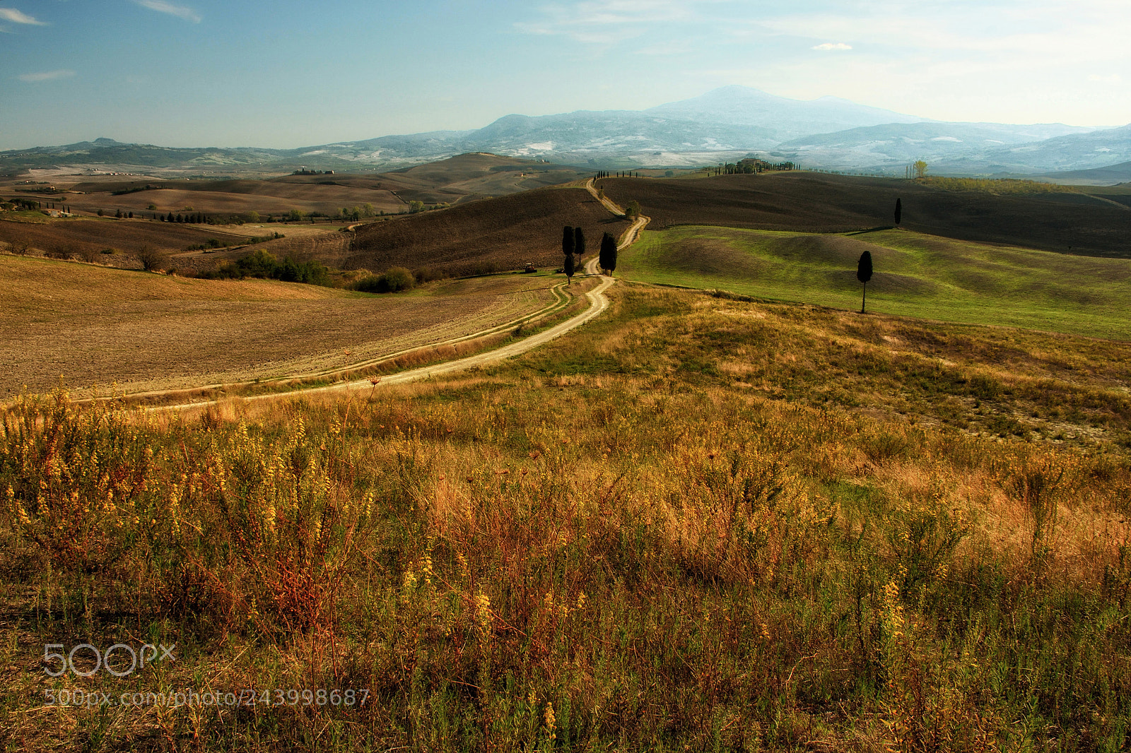 Nikon D7100 sample photo. Colors of tuscany photography