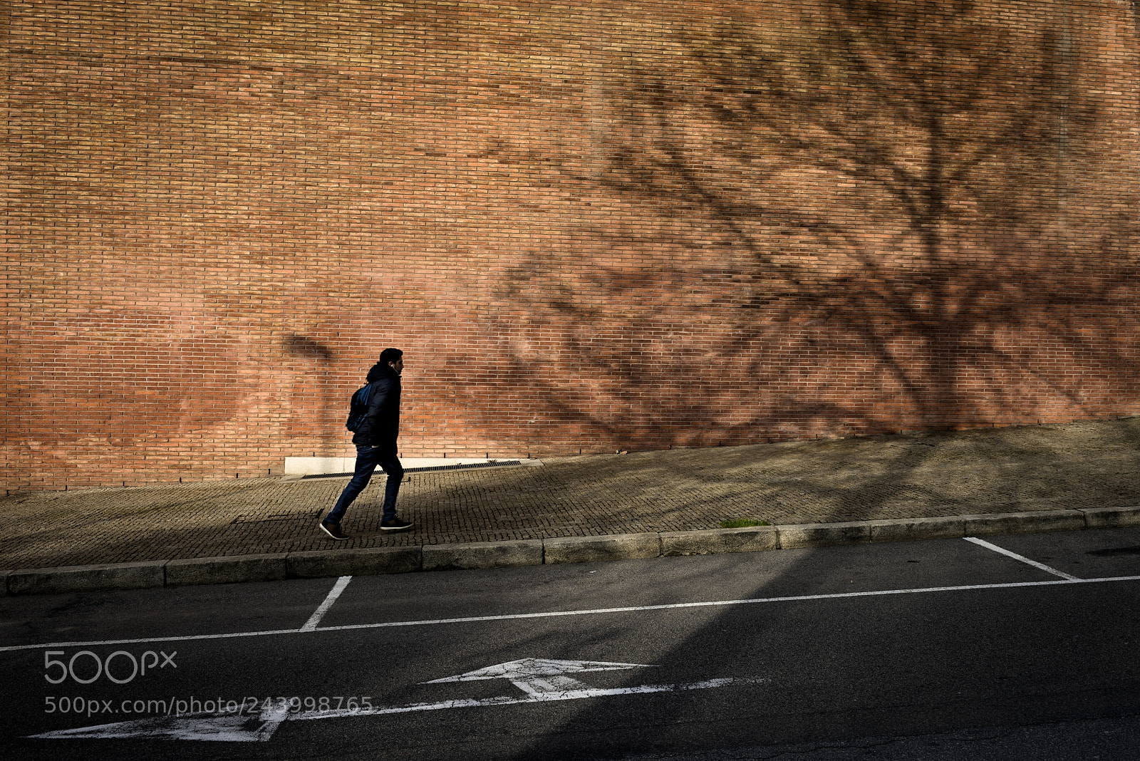 Nikon D810 sample photo. Running through brickland photography
