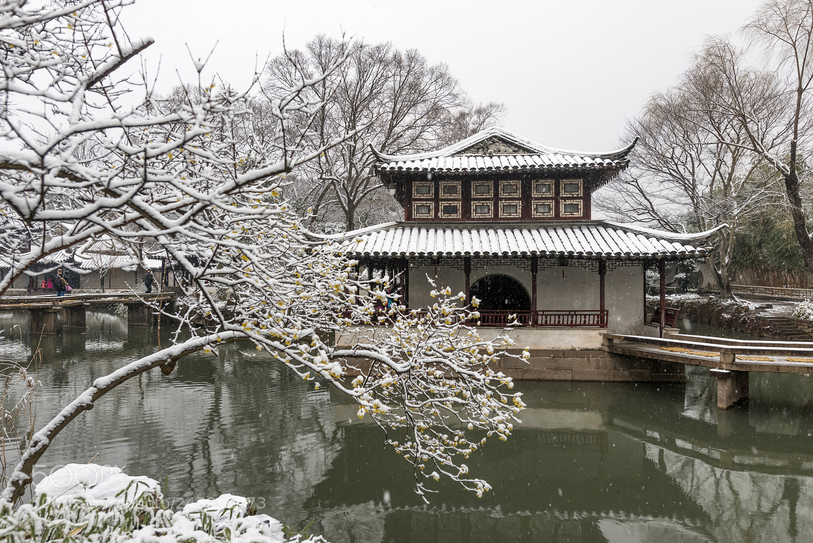 Nikon D810 sample photo. 拙政园的雪！ photography