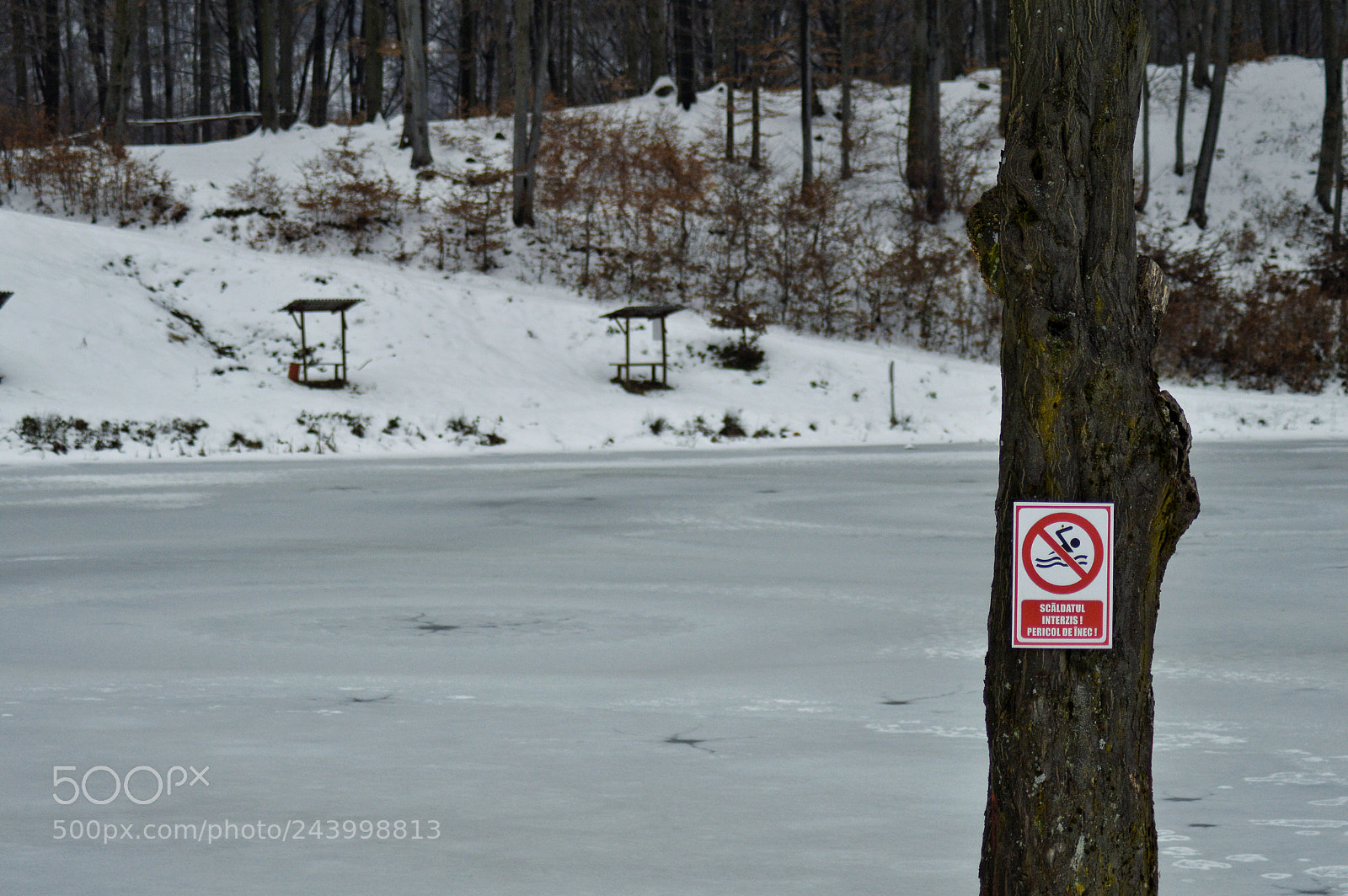 Nikon D3200 sample photo. Stop swimming photography
