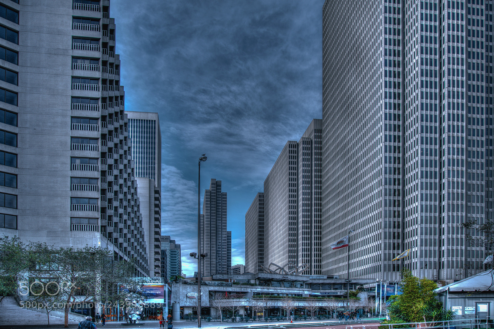 Nikon D850 sample photo. San francisco photography
