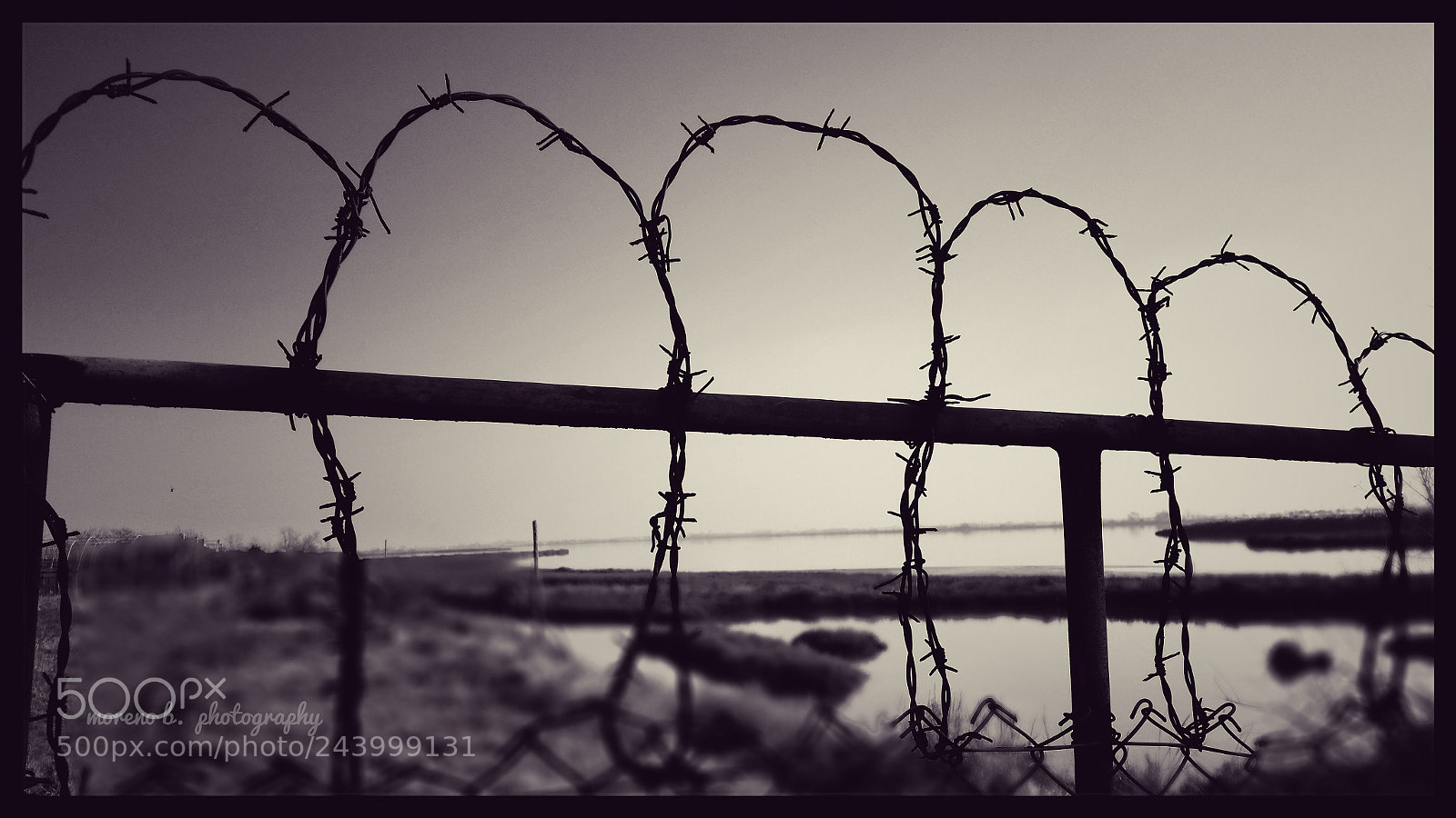Samsung Galaxy S5 sample photo. Untitled photography