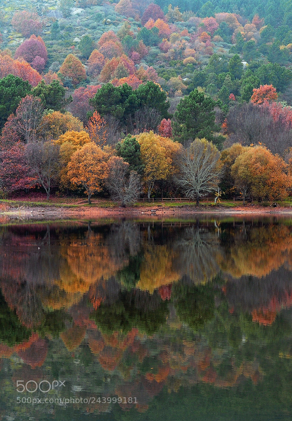 Nikon D90 sample photo. I love autumn... photography