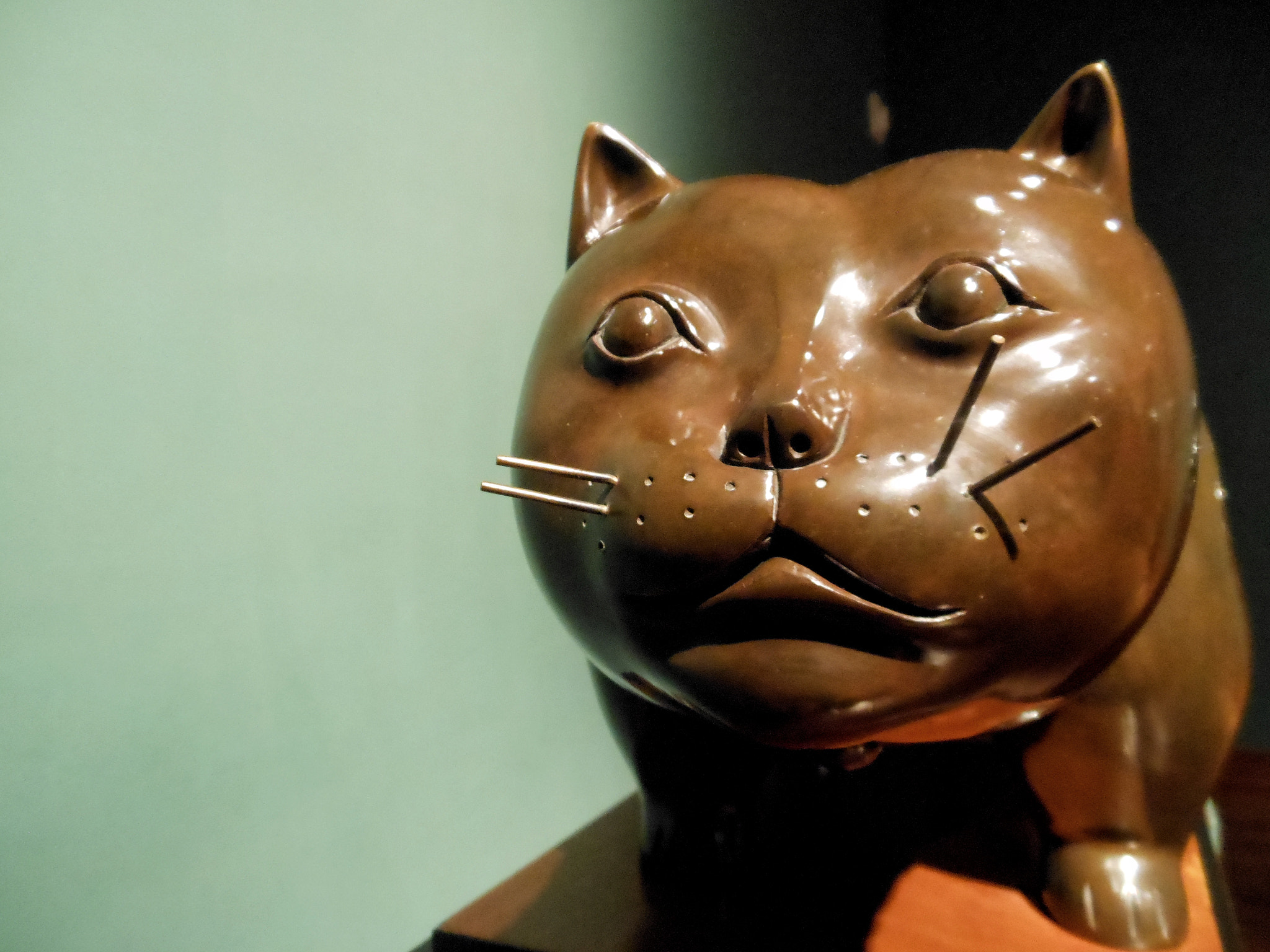 Nikon Coolpix S6200 sample photo. The cat of botero photography