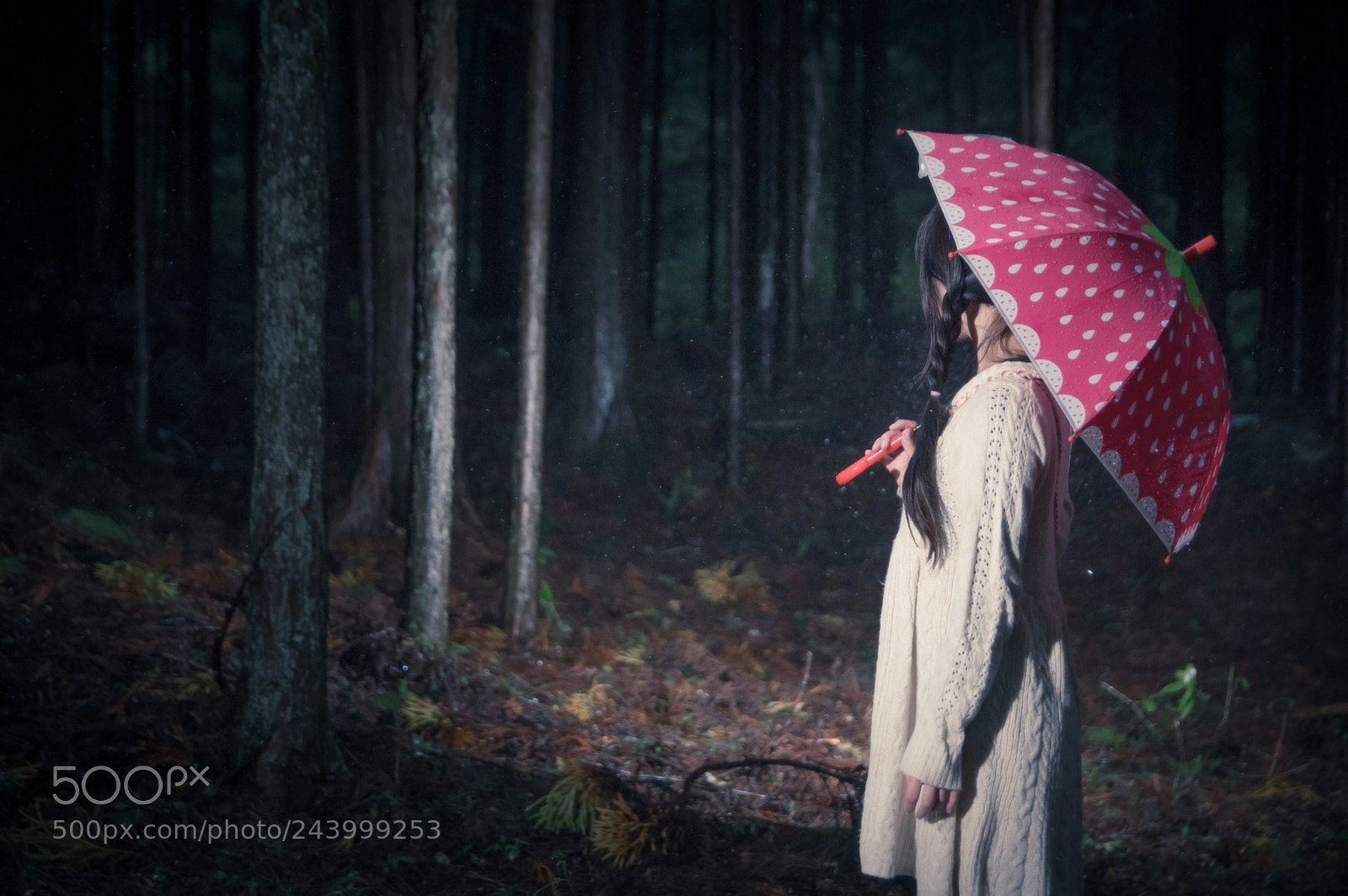 Pentax K-3 sample photo. 【雨の子物語.9】 photography