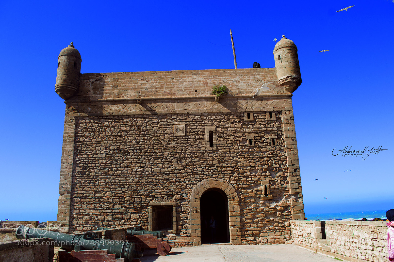 Nikon D3100 sample photo. Essaouira city photography