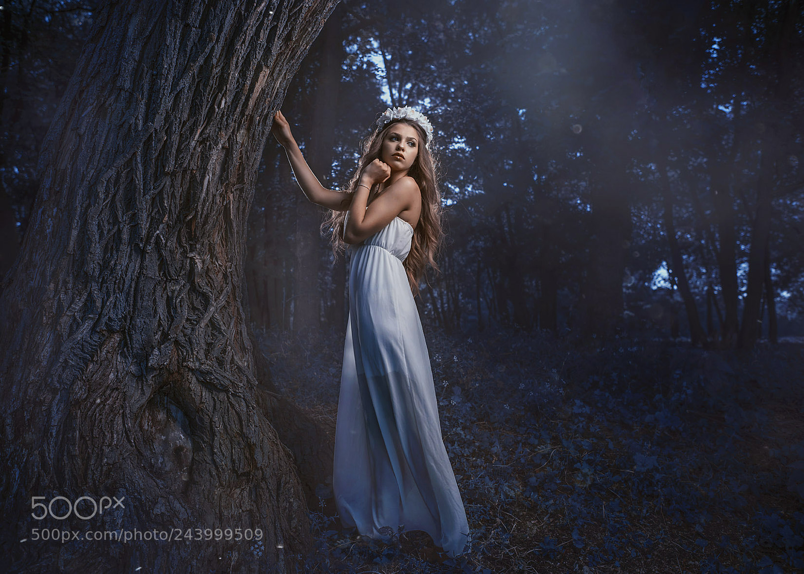 Nikon D810 sample photo. In the woods photography