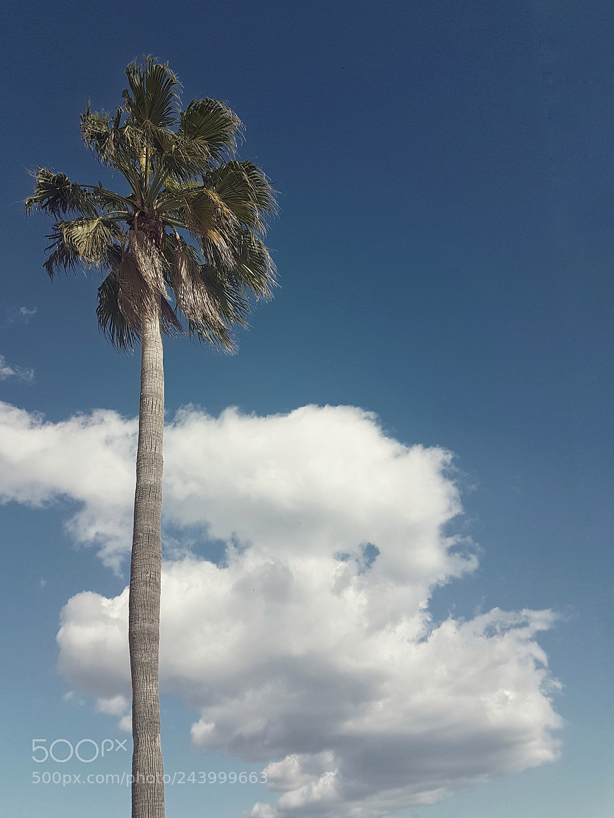 Samsung Galaxy S7 Edge sample photo. Higher than the clouds photography