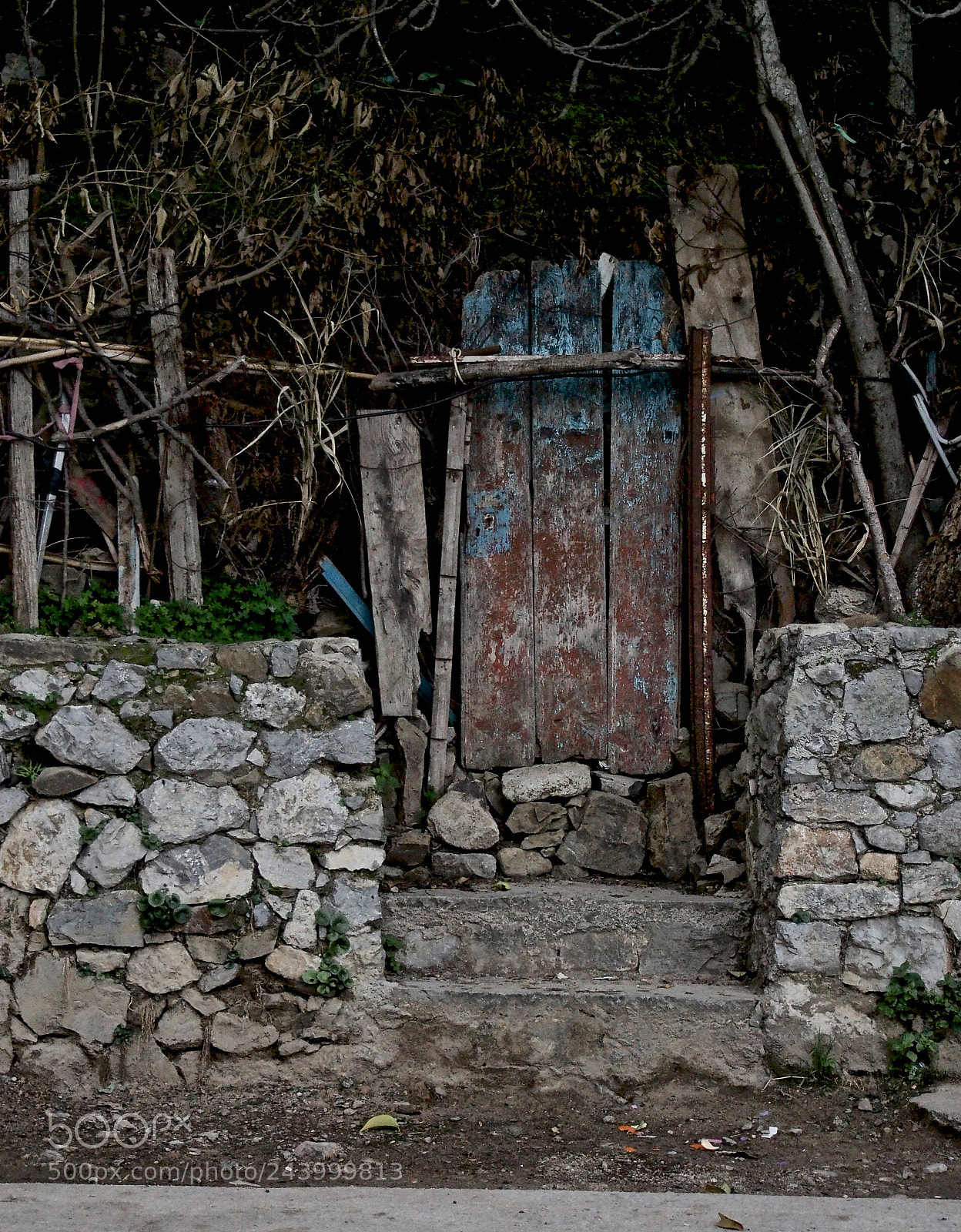 Olympus OM-D E-M5 sample photo. The old door photography