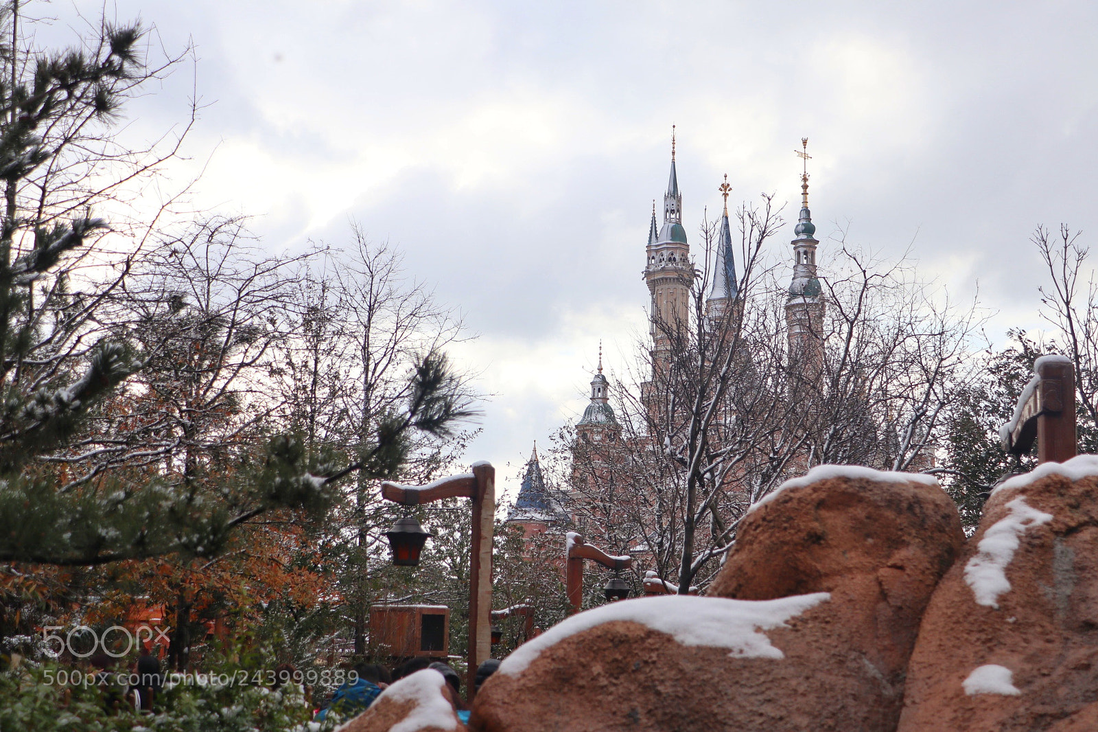 Canon EOS M5 sample photo. 难得上海大雪。 photography
