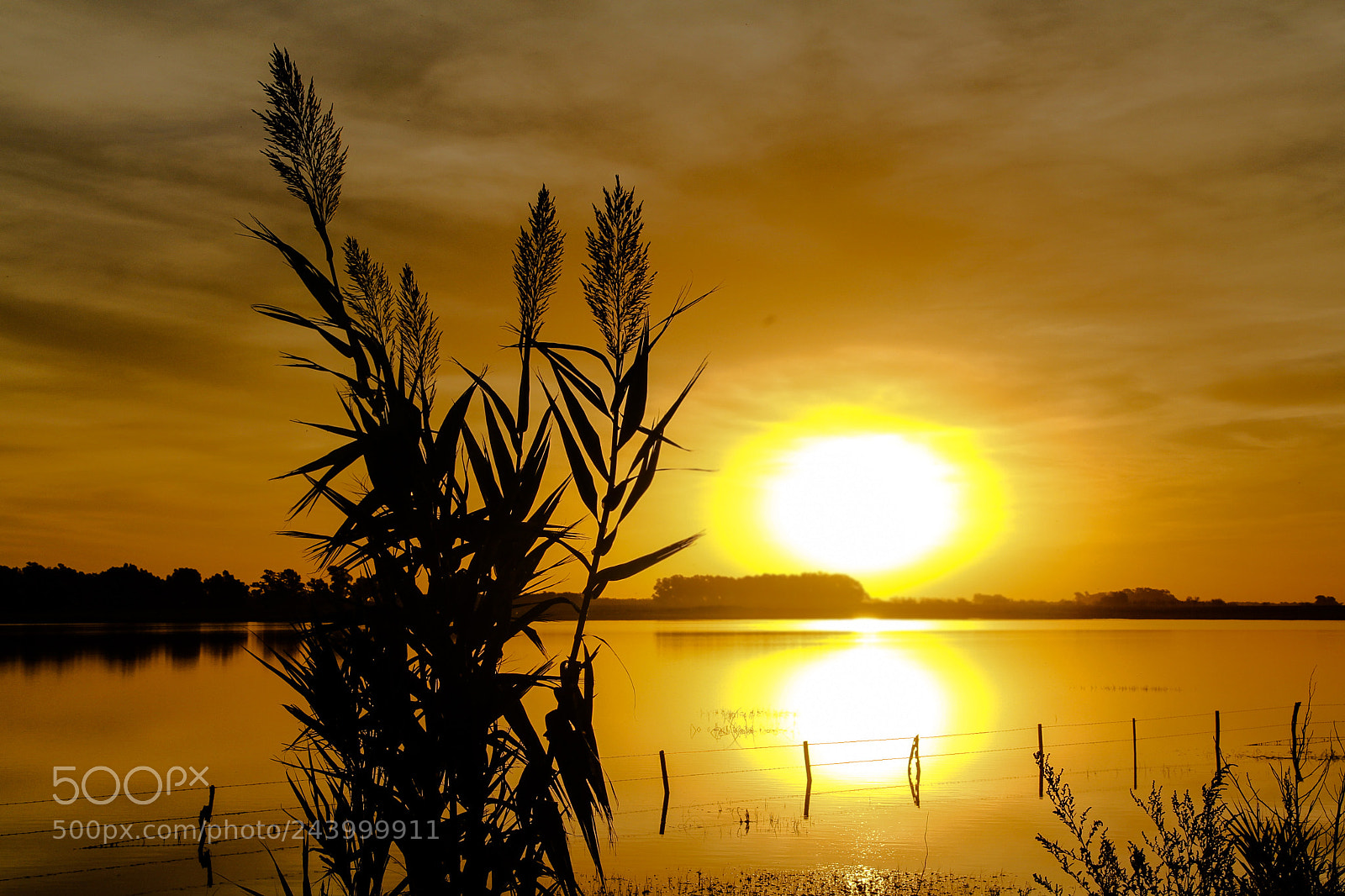 Canon EOS 60D sample photo. Sunset over the flood photography