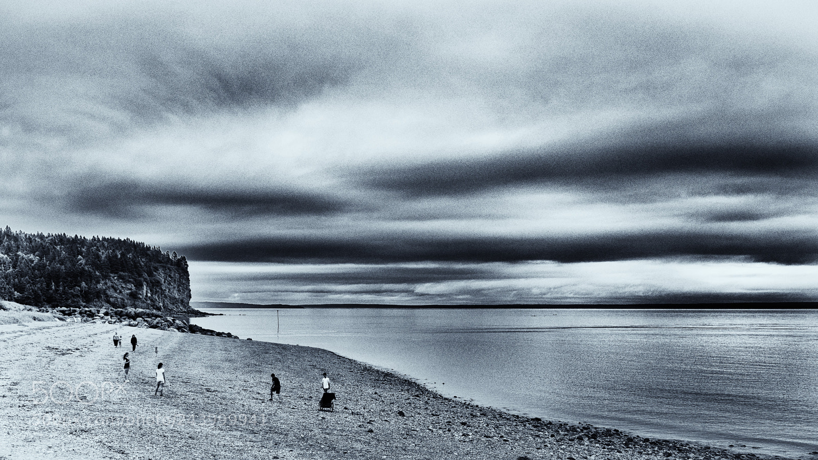 Olympus OM-D E-M5 sample photo. Beach combing photography