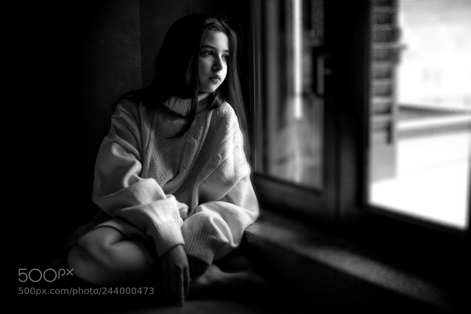 Nikon D610 sample photo. Window photography