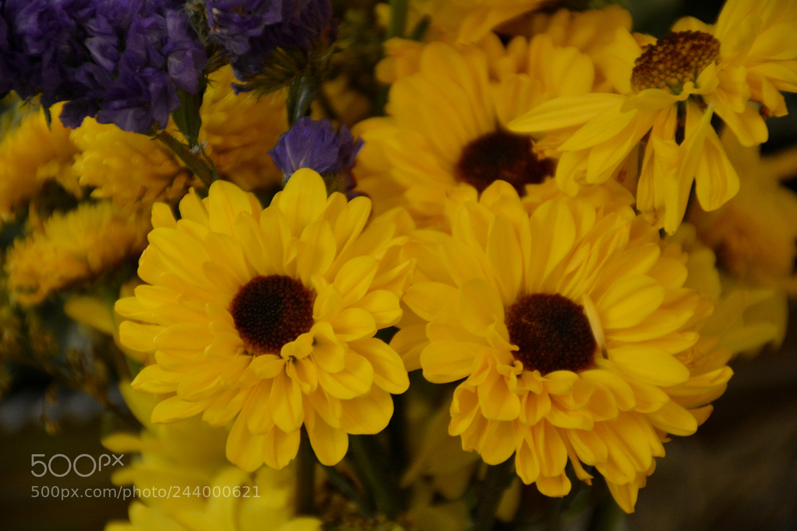Nikon D7100 sample photo. Very yellow photography