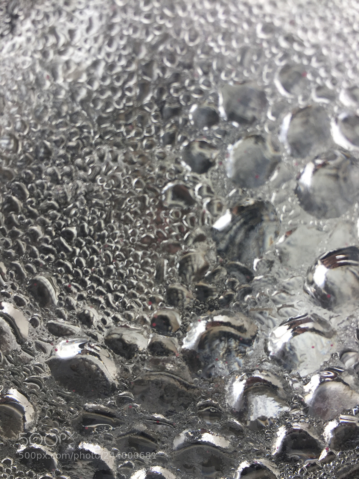 Apple iPhone 6 sample photo. Beautiful drops of water photography