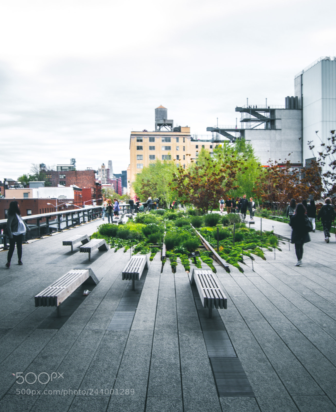 Nikon D3200 sample photo. The high line photography