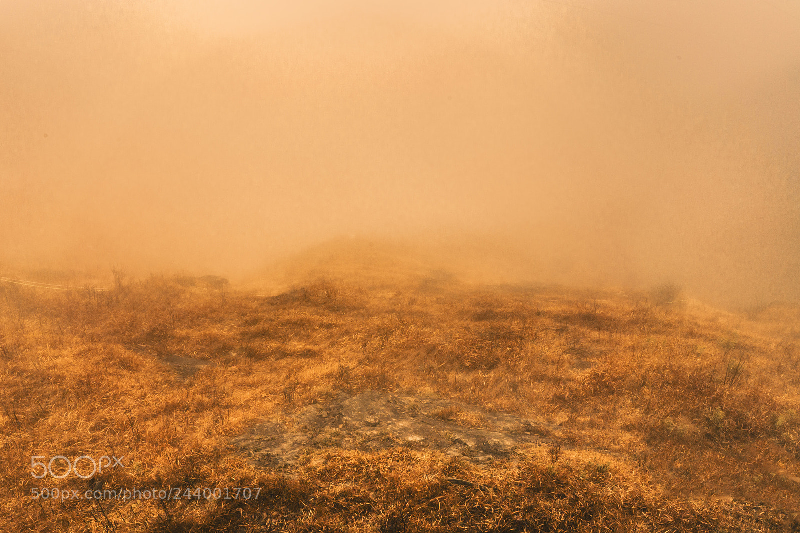Sony a7R II sample photo. Fog orange photography