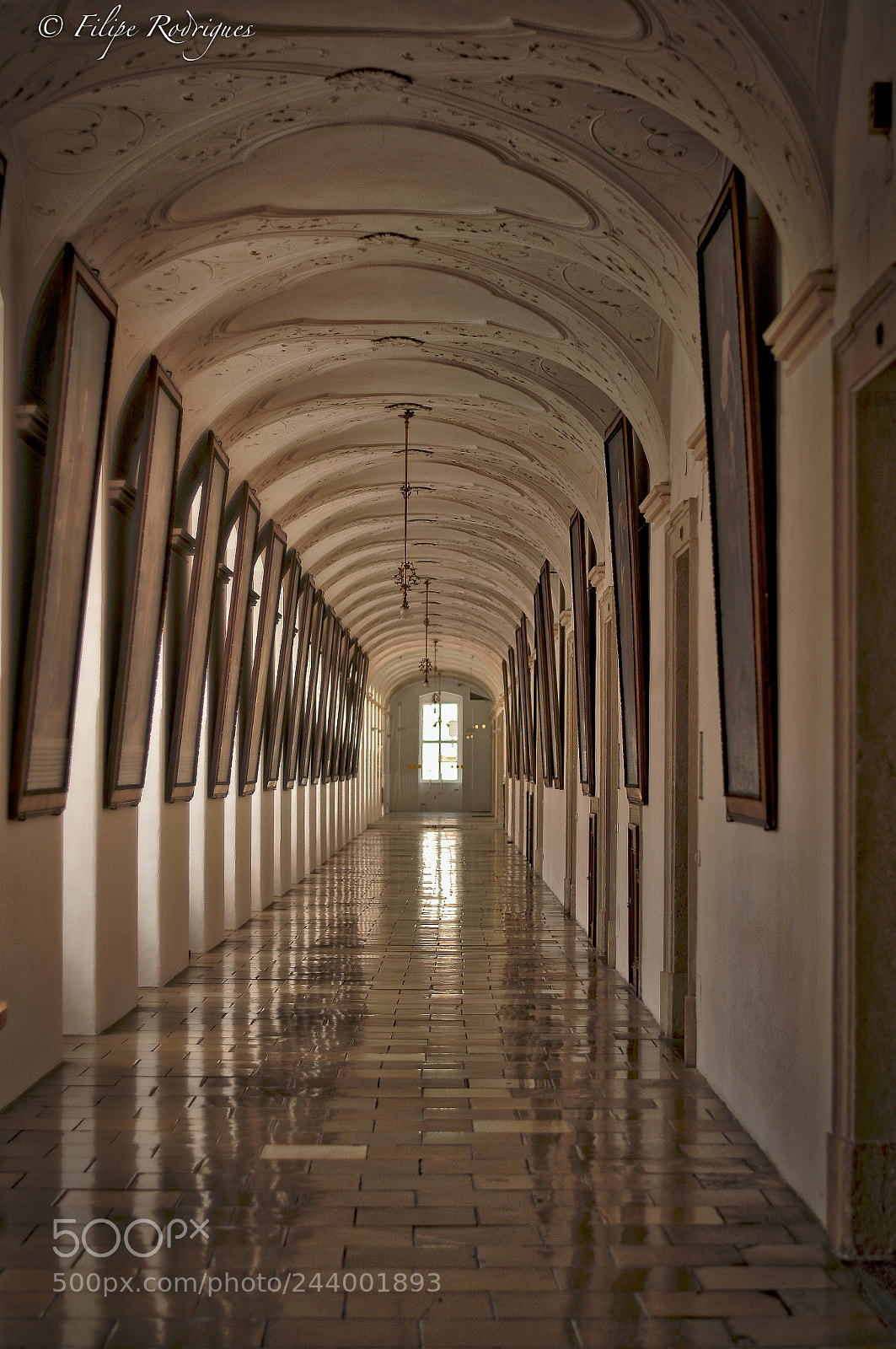 Nikon D300S sample photo. Shiny gallery photography